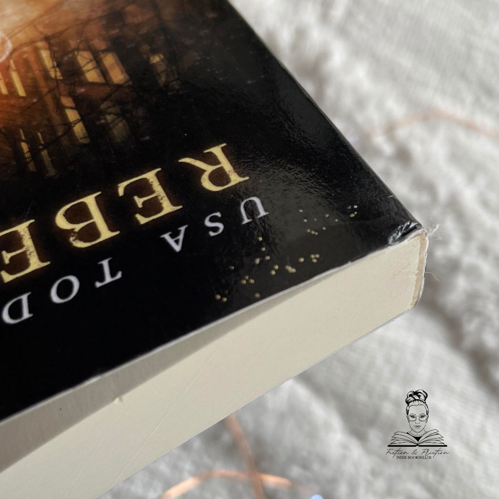 Scratch & Dent: A Fistful of Evil (Madison Fox Adventure series) by Rebecca Chastain