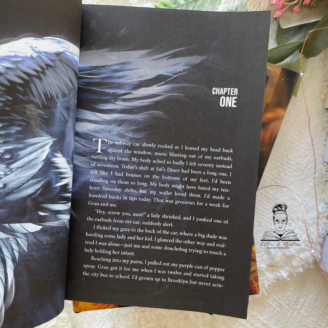 Shadow Angel: Coloured Interior Hardcovers by Julie Hall & Leia Stone