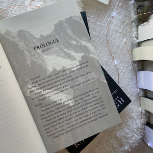 Bastards of Boulder Cove by Rachel Leigh