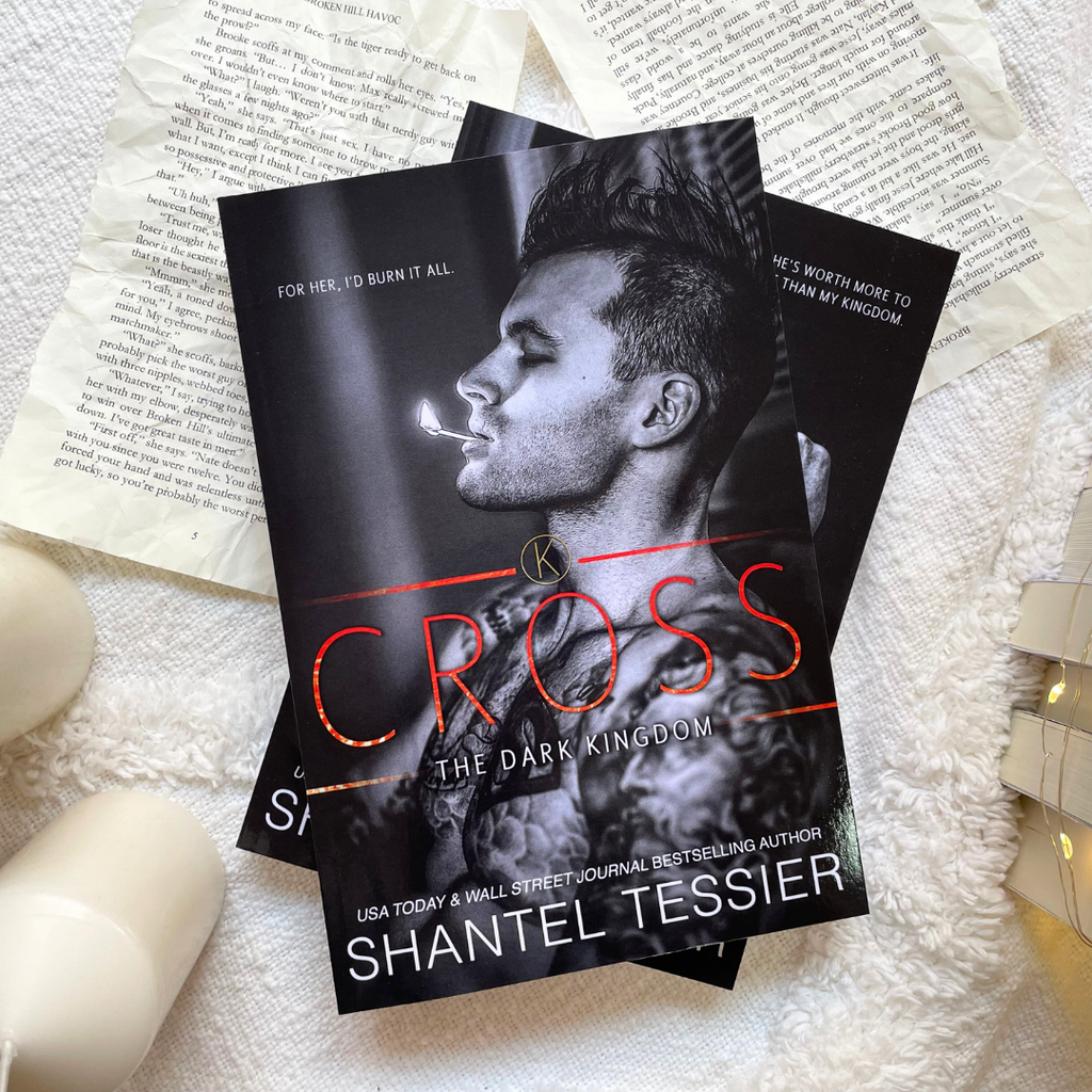 The Dark Kingdom by Shantel Tessier