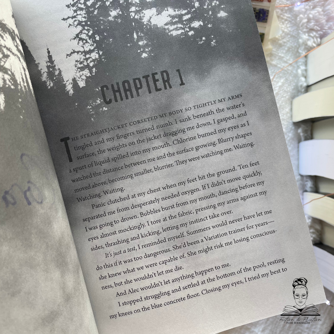 Silverbell Shore by DL Gallie