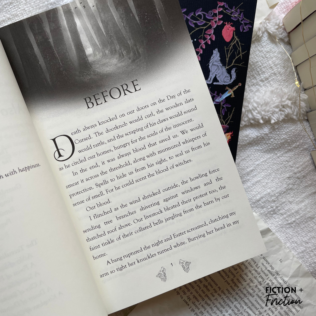 The Cursed Blood series by Chloe Hodge