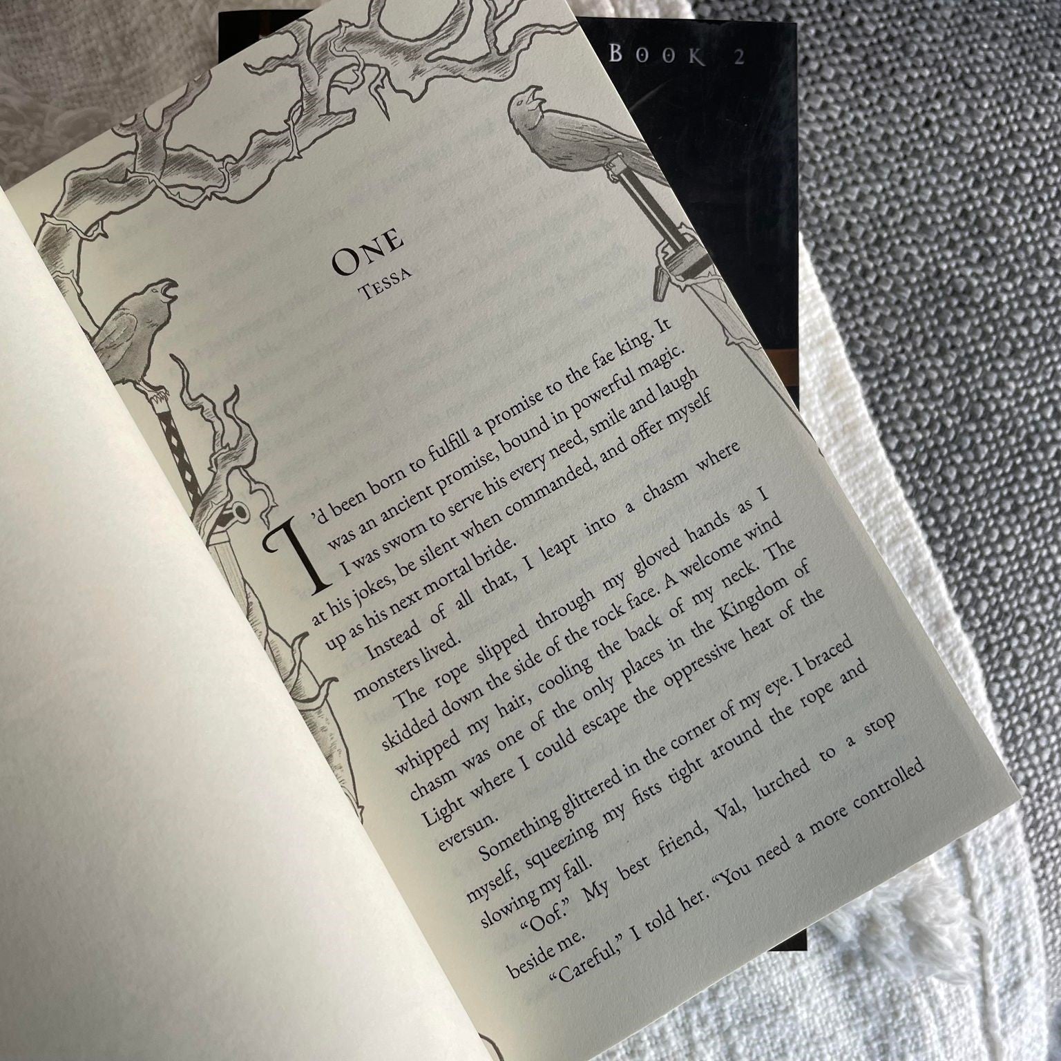 The Mist King by Jenna Wolfhart