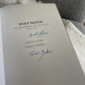 The Paranormals Blood World by Tamsin Baker & Ameila Shaw