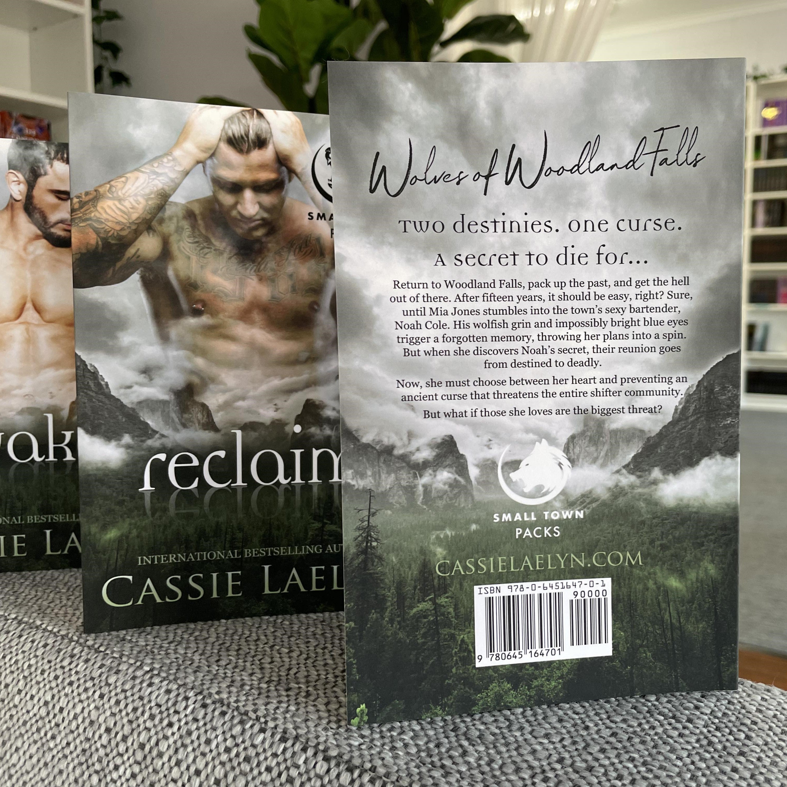 Small Town Packs by Cassie Laelyn