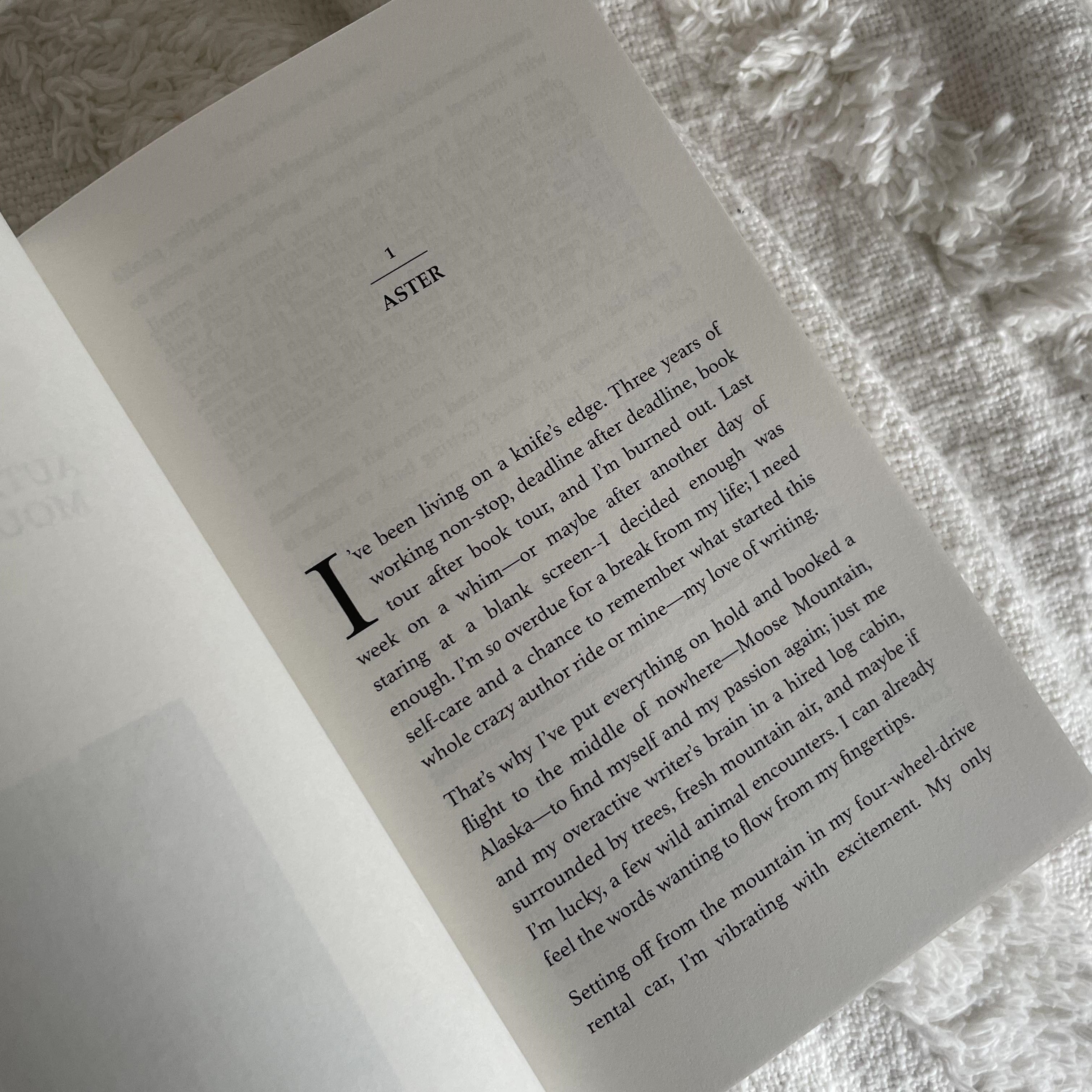 Moose Mountain Brothers by Marley Michaels