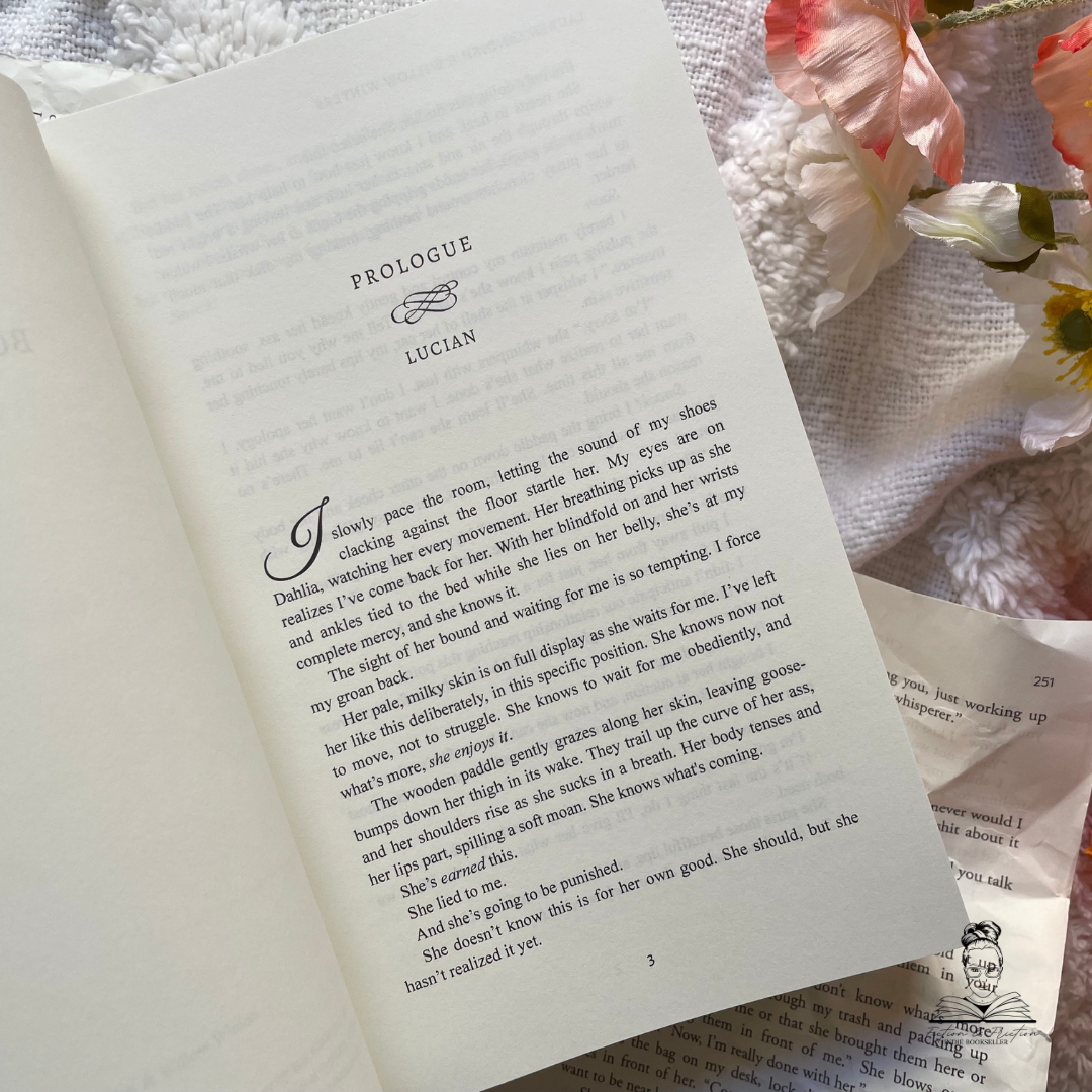 Highest Bidder Collection by Willow Winters & Lauren Landish