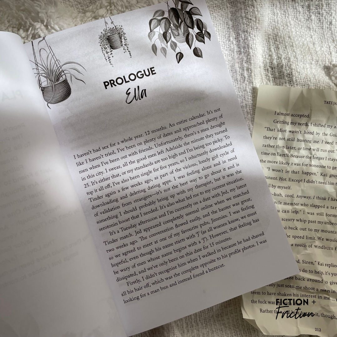 I Promise I Won’t Fall by Emily Nicole