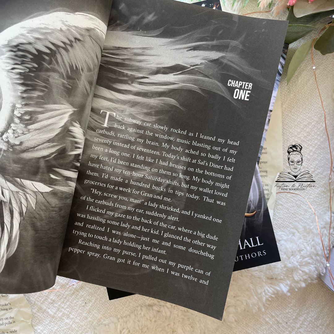 Scratch & Dent | Shadow Angel (Book 3) by Julie Hall & Leia Stone