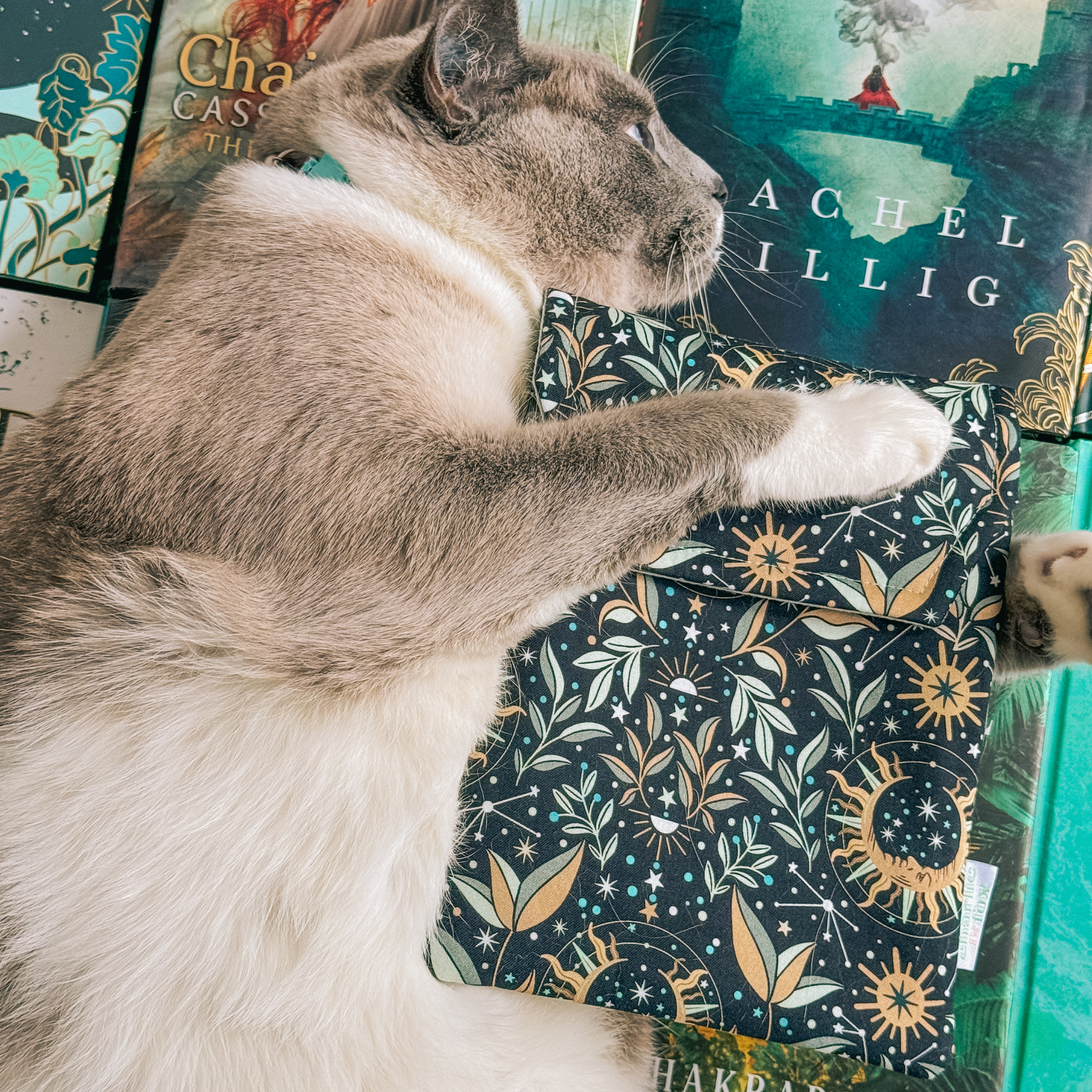 Charlie and Fox E-Reader Sleeve - Astral Lovers in Moonlight