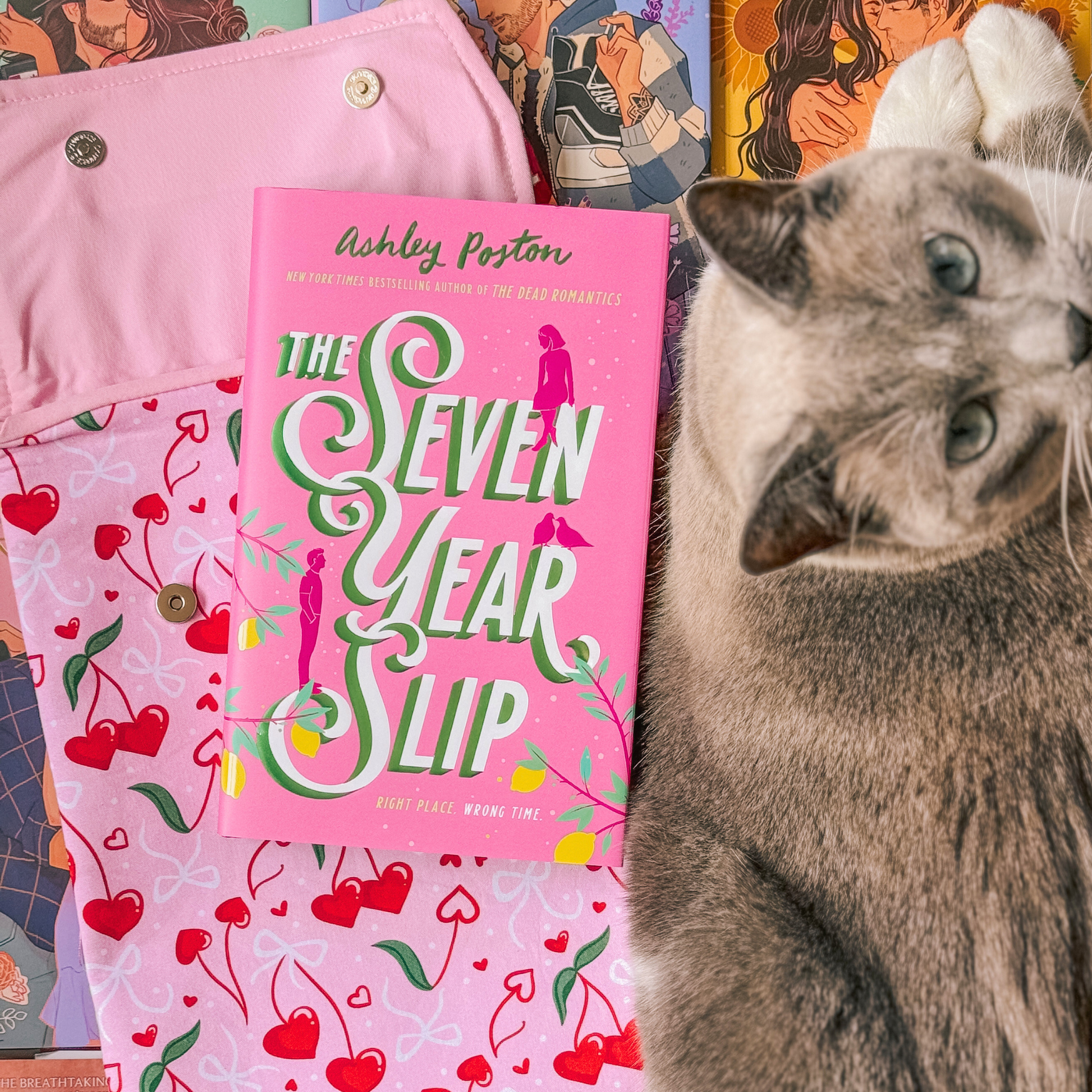 Charlie and Fox Book Sleeve - Cherry Hearts