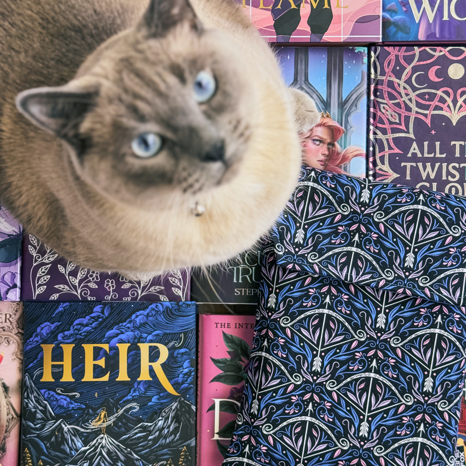 Charlie and Fox Book Sleeve - Huntress