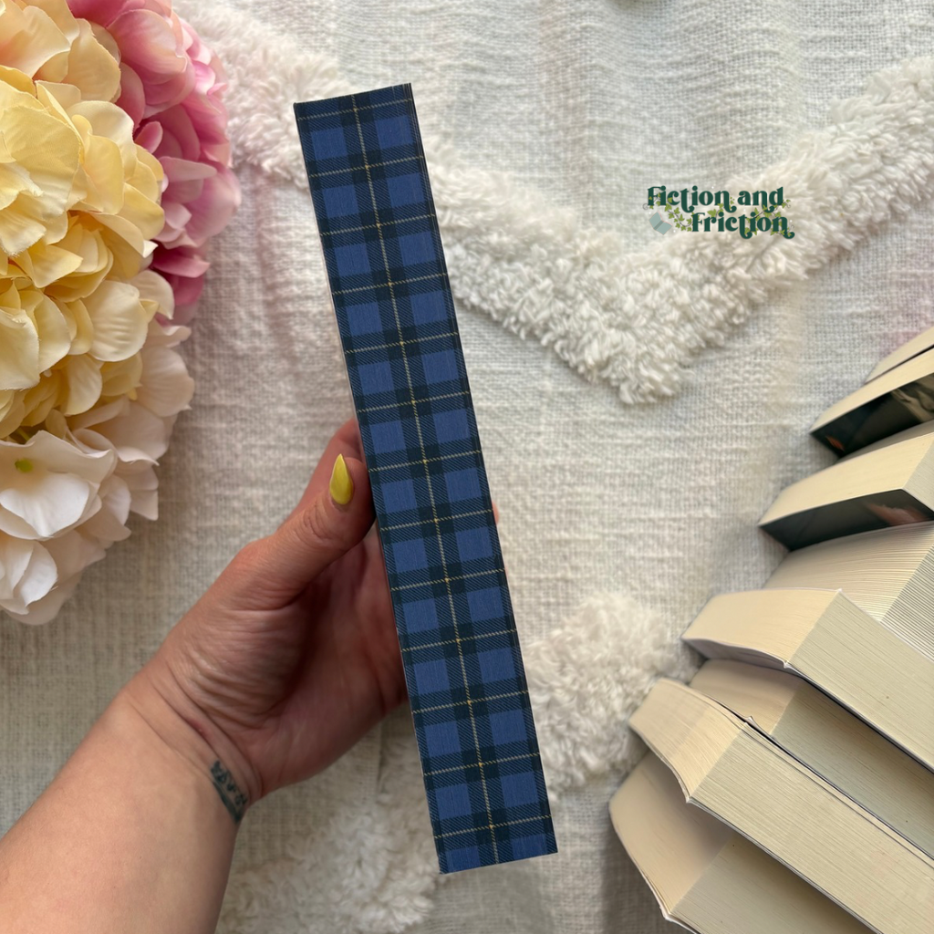 Honeymoon Phase {Special Edition} by Amy Daws