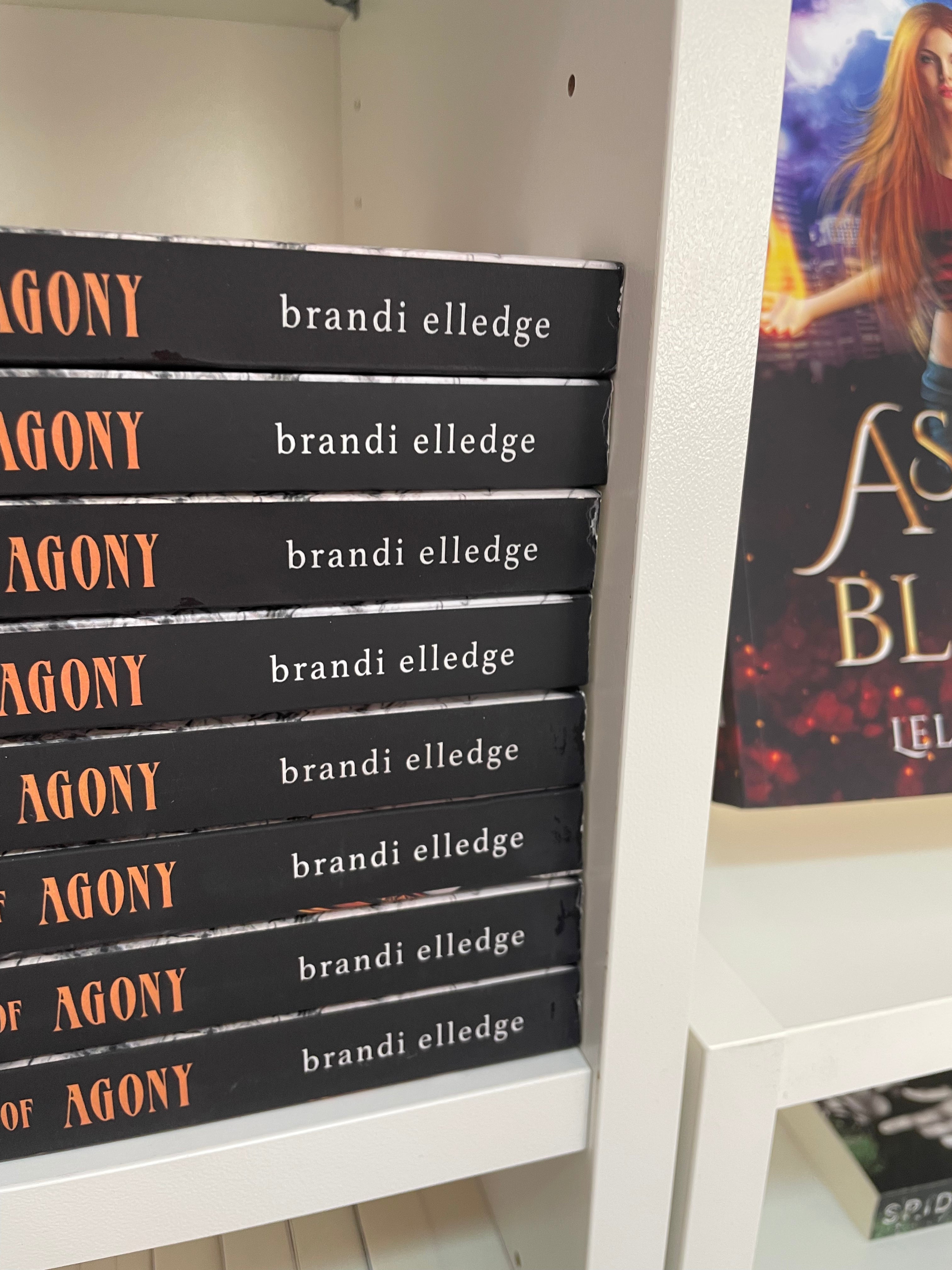 Scratch & Dent: House of Agony by Brandi Elledge