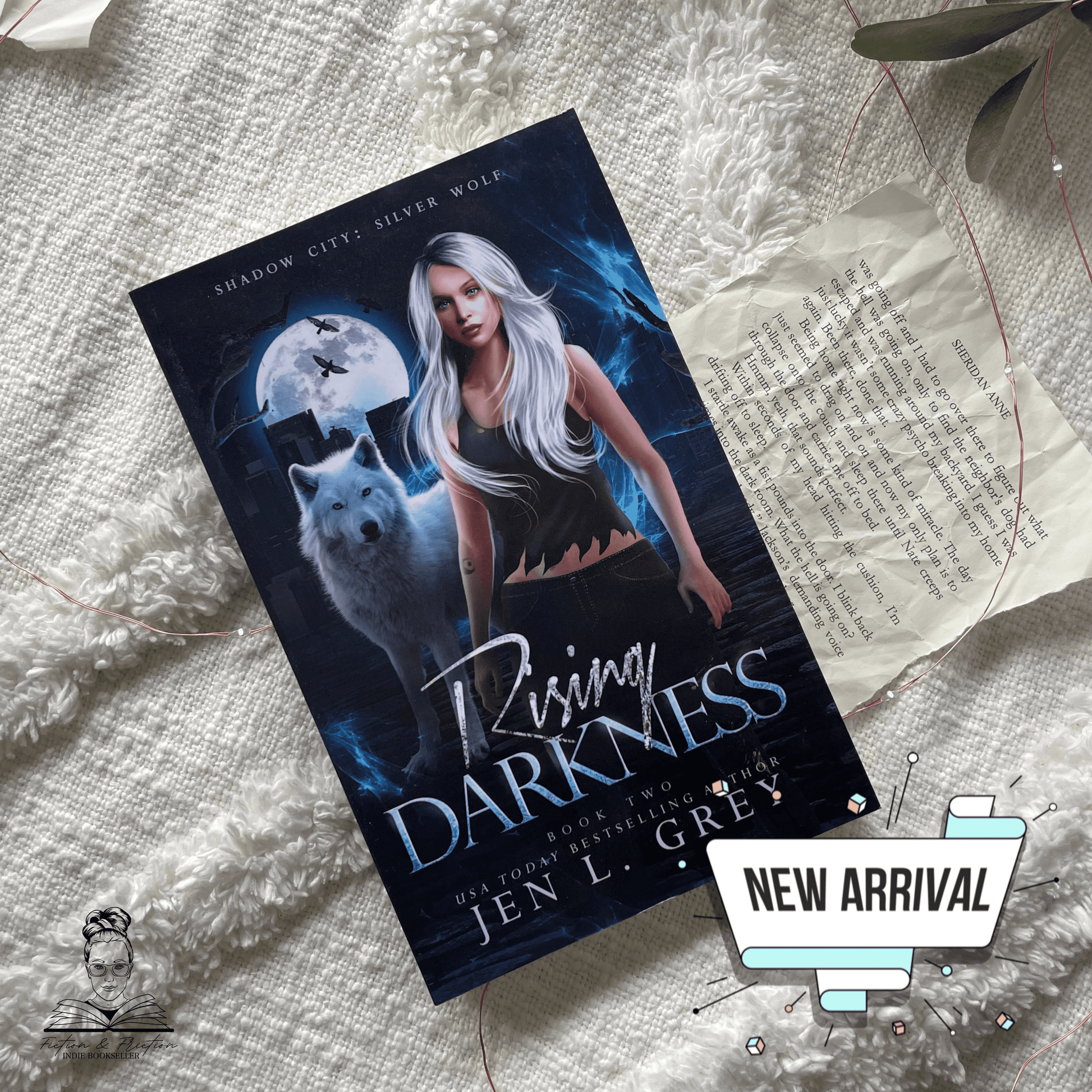 Scratch & Dent: Rising Darkness (Shadow City: Silver Wolf Book 2) by Jen L. Grey
