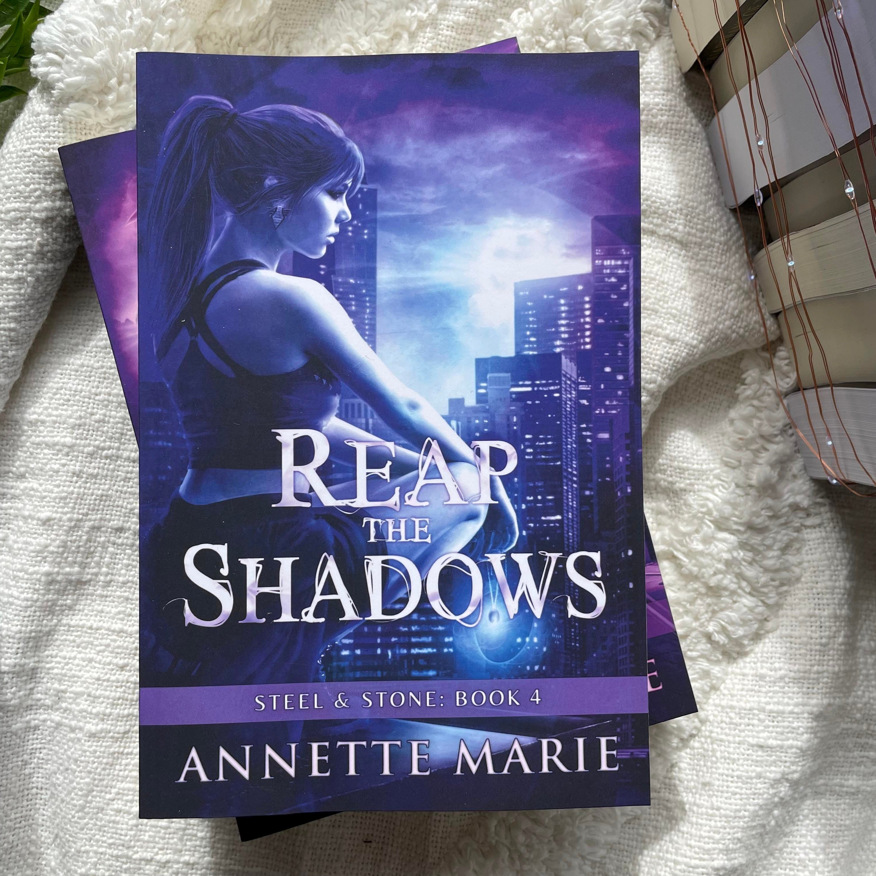 Steel & Stone series by Annette Marie