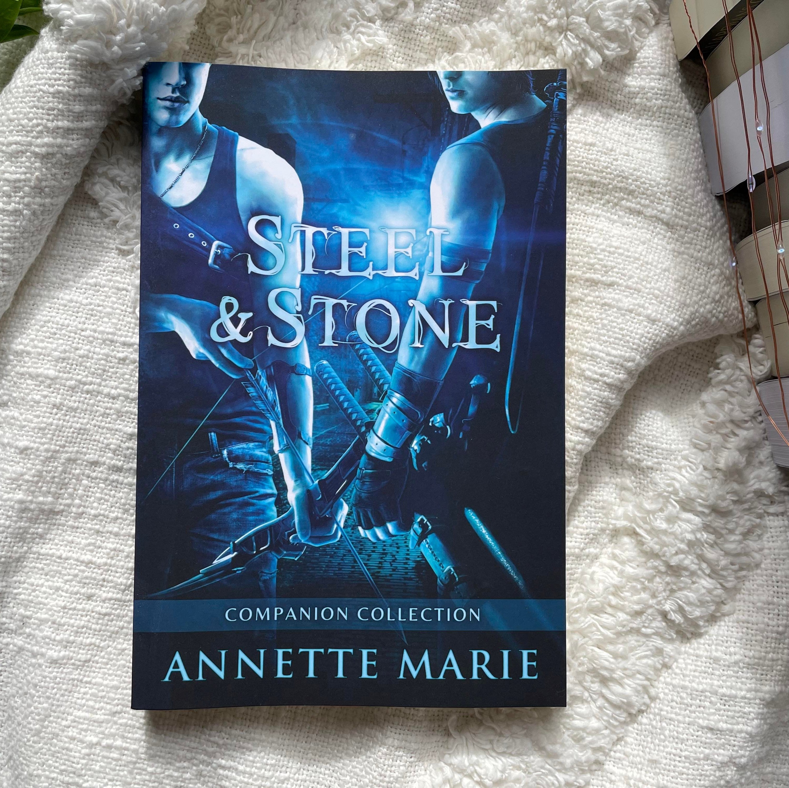 Steel & Stone series by Annette Marie