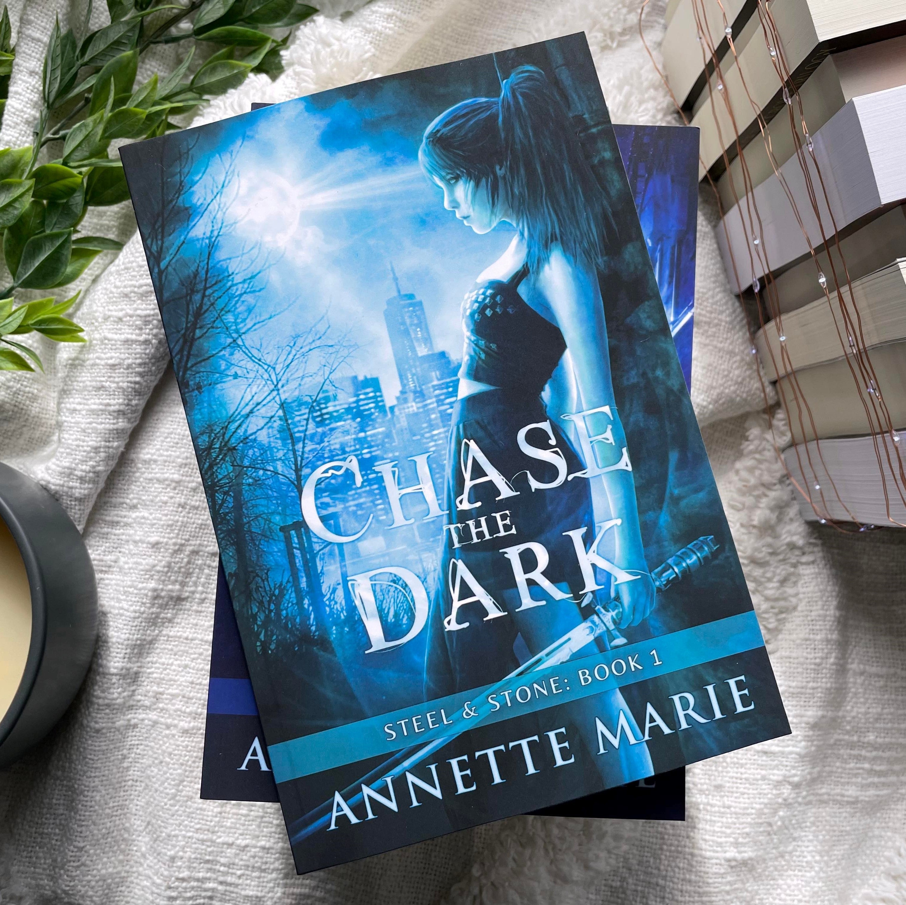 Steel & Stone series by Annette Marie