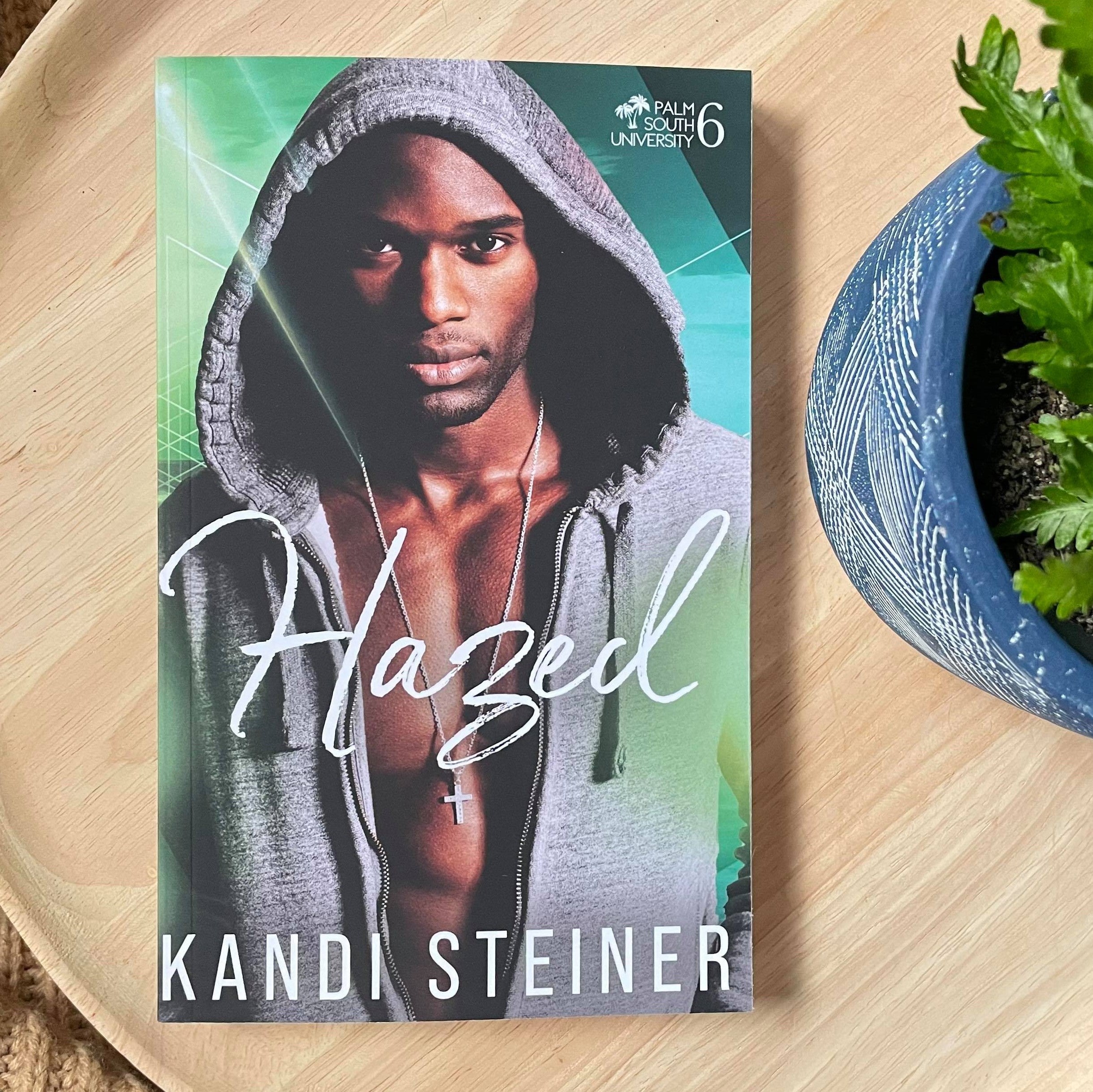 The Palm South University series by Kandi Steiner