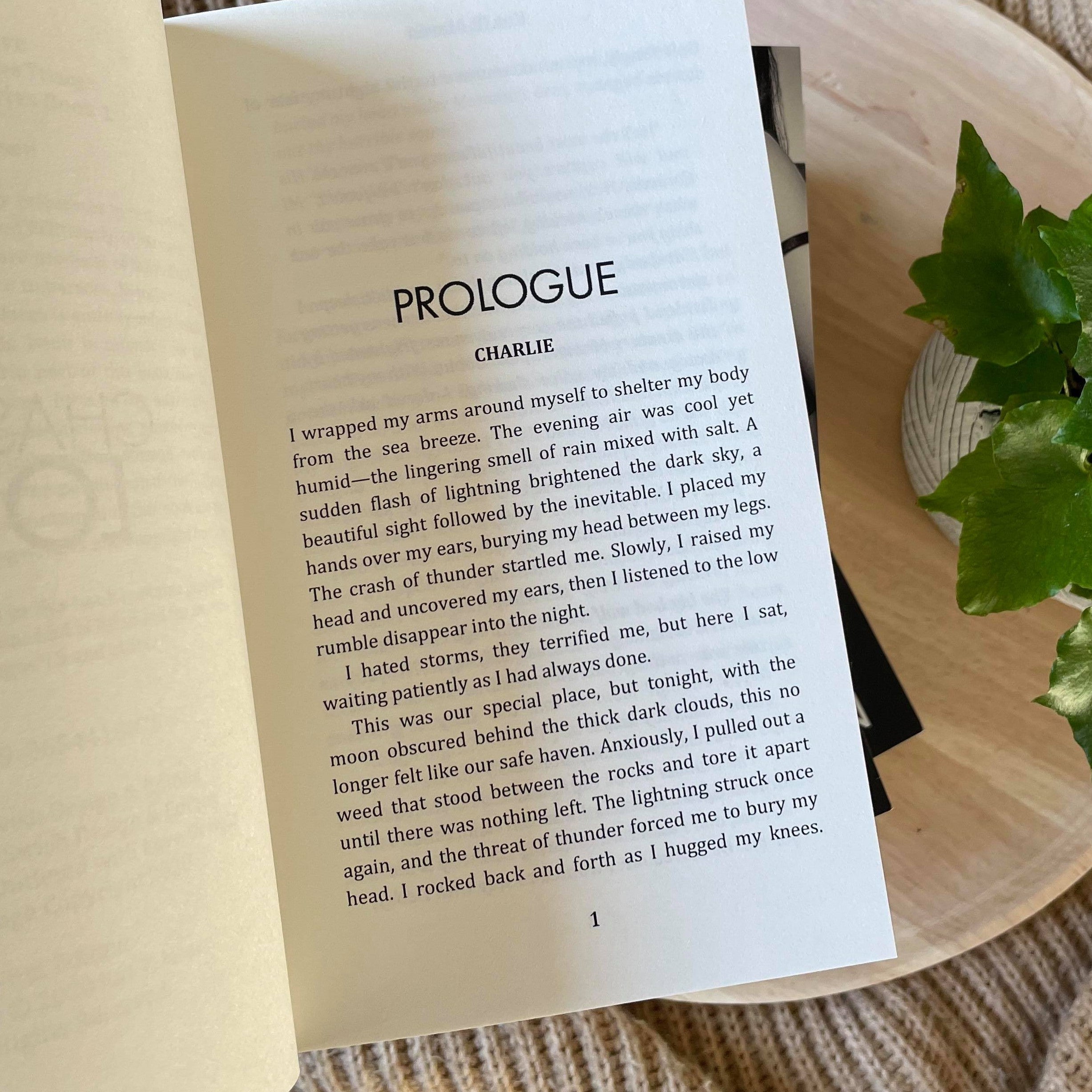 Dark Love Series by Kat T. Masen