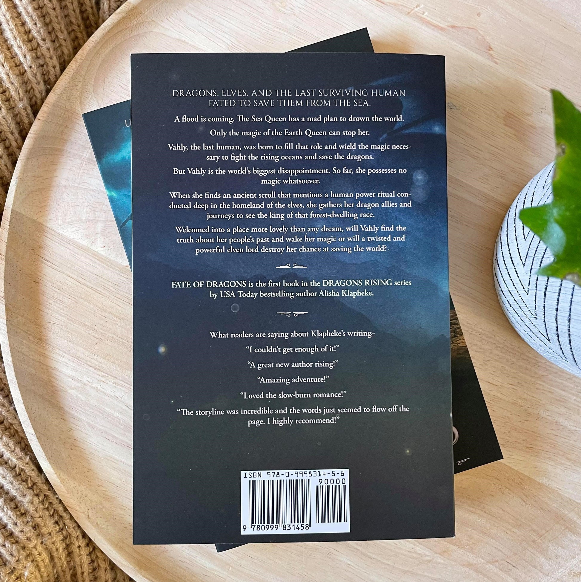 Dragon Rising series by Alisha Klapheke