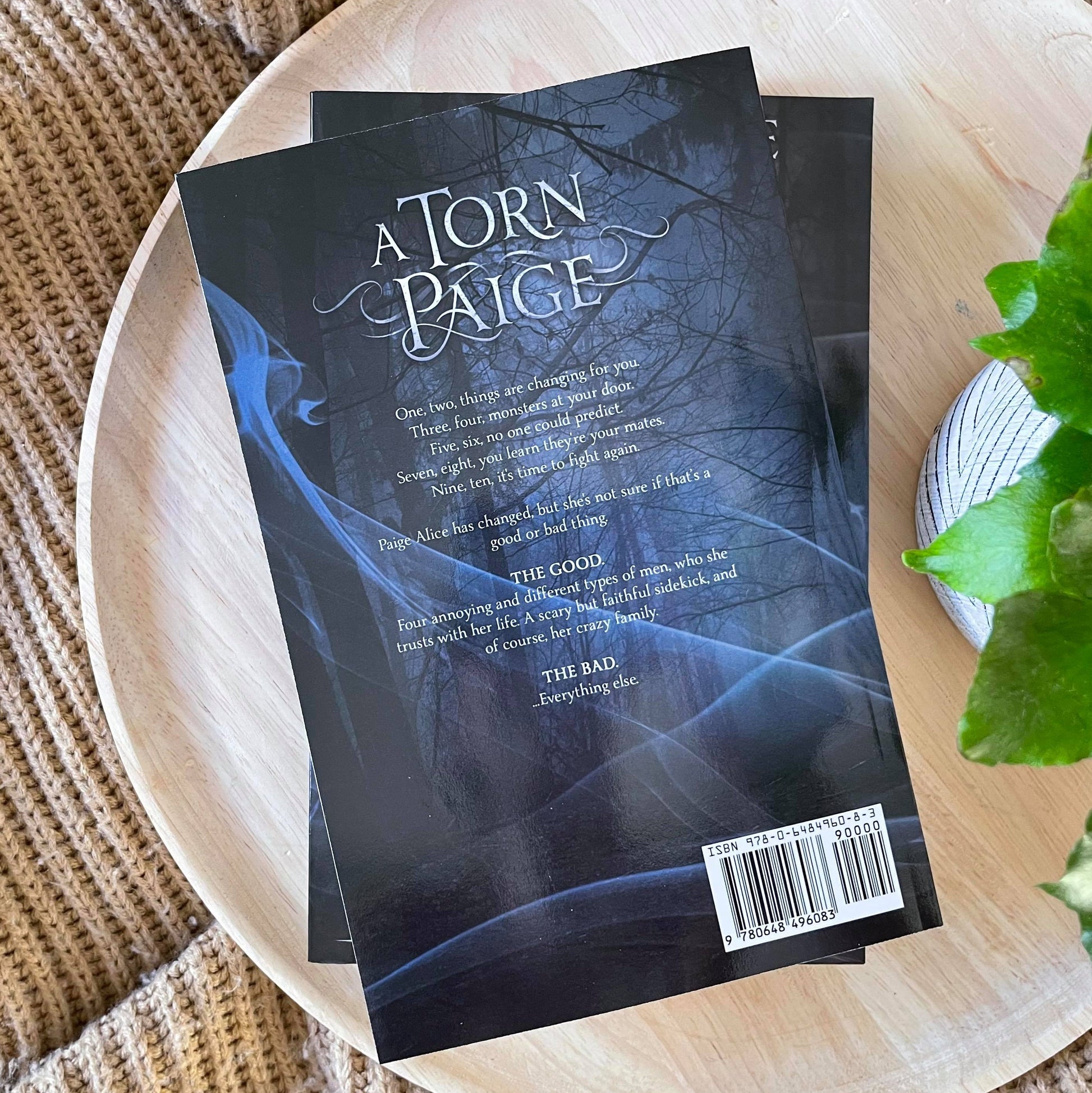Hidden Kigdom Trilogy by L Rose
