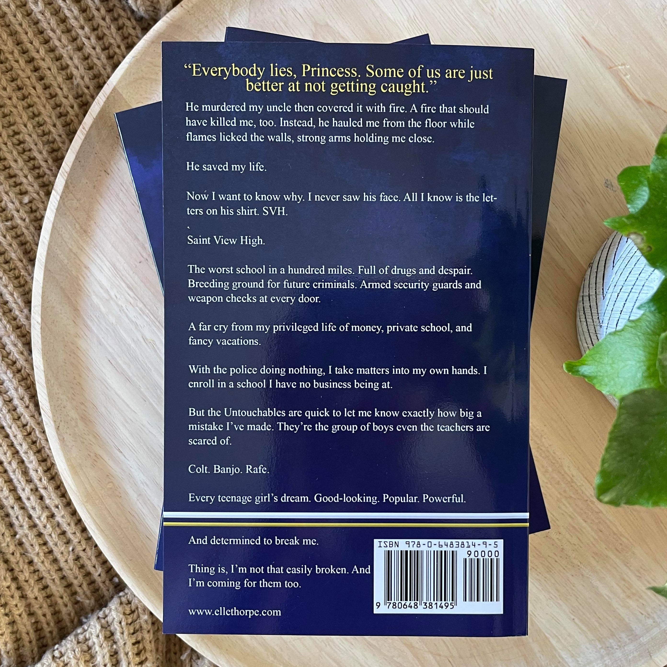 Saint View High series by Elle Thorpe