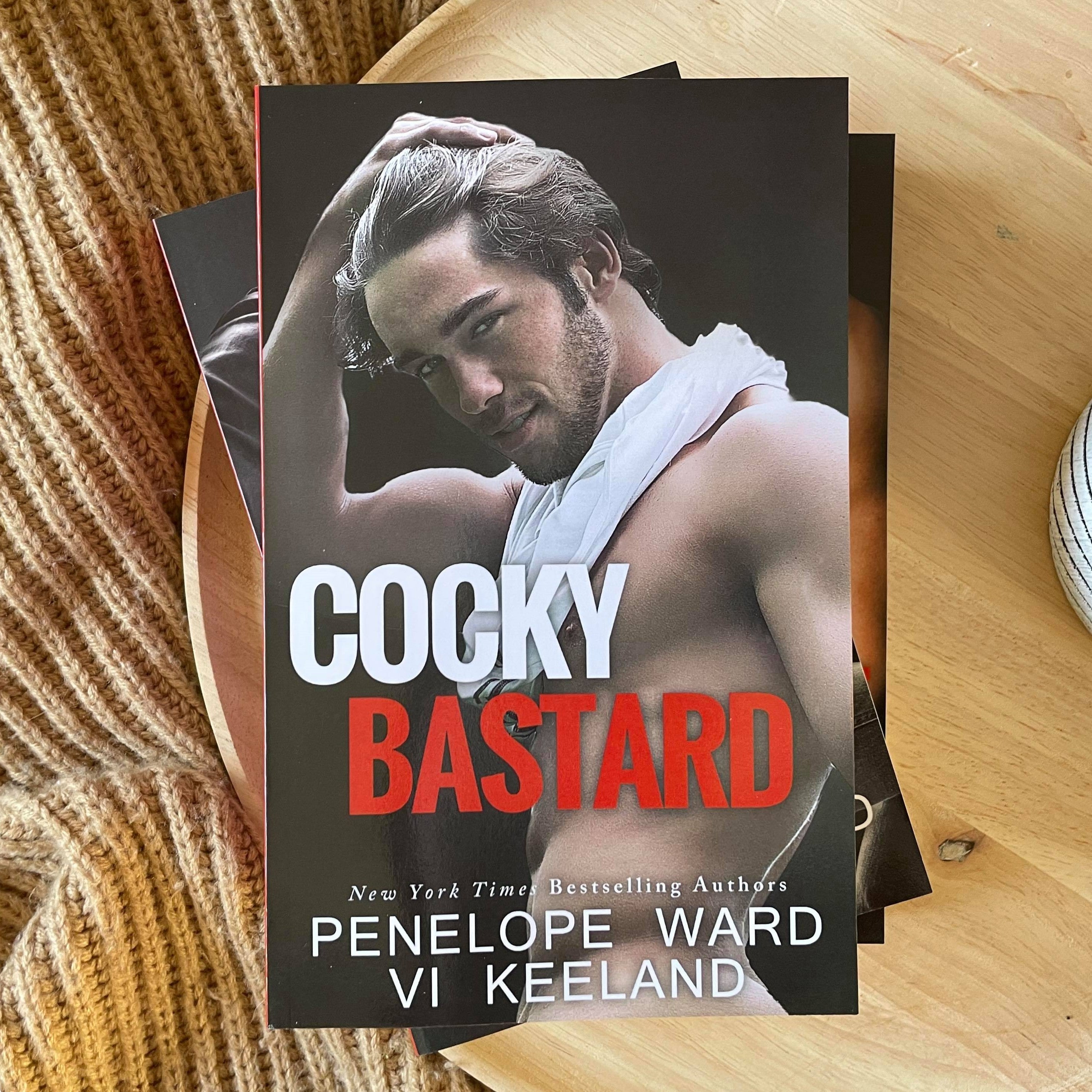 A Series of Standalone Novels by Penelope Ward & Vi Keeland
