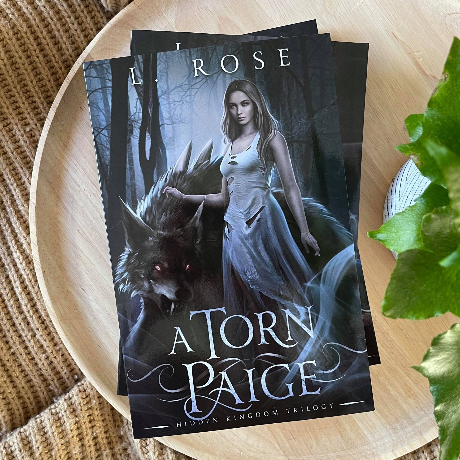 Hidden Kigdom Trilogy by L Rose