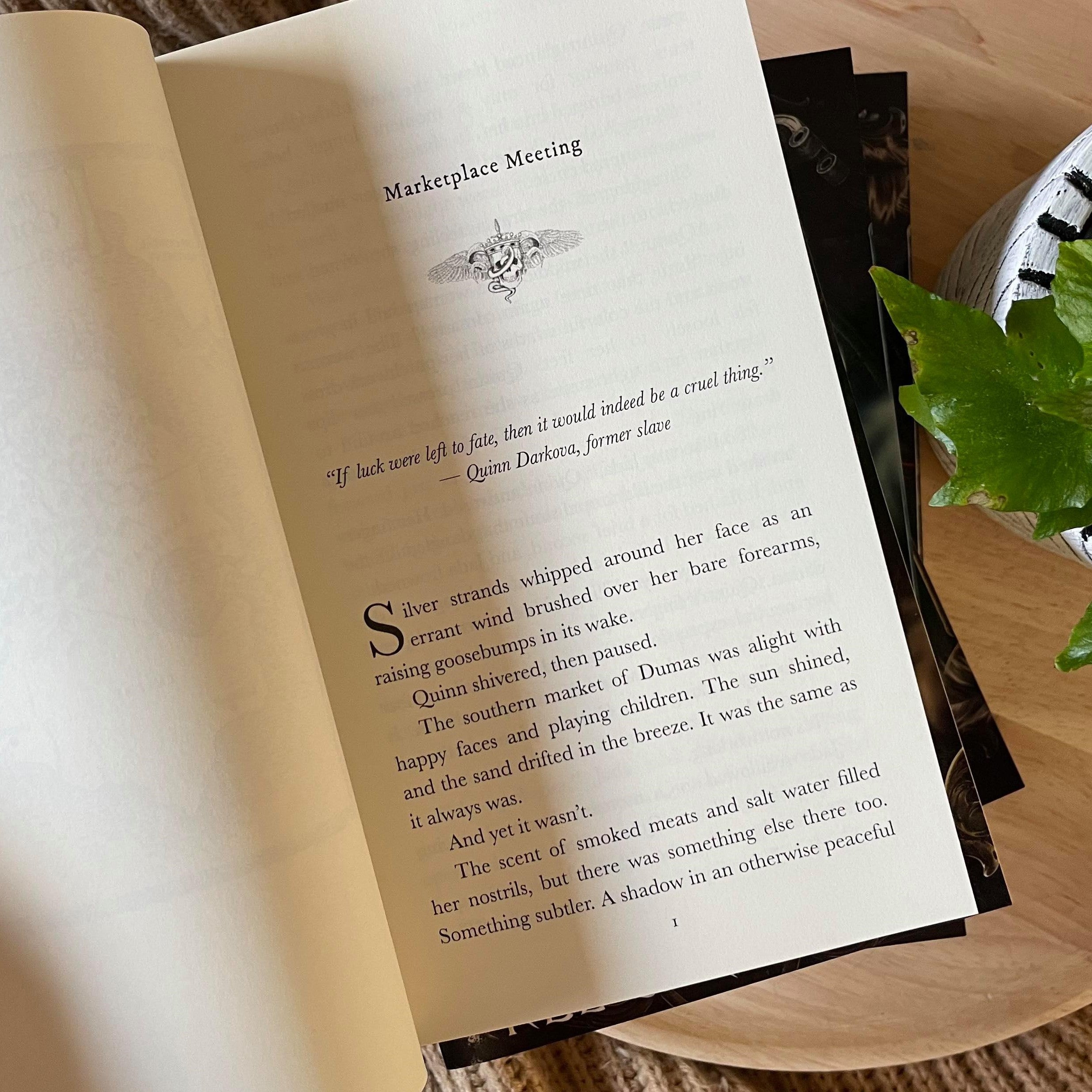 Dark Maji series by Kel Carpenter