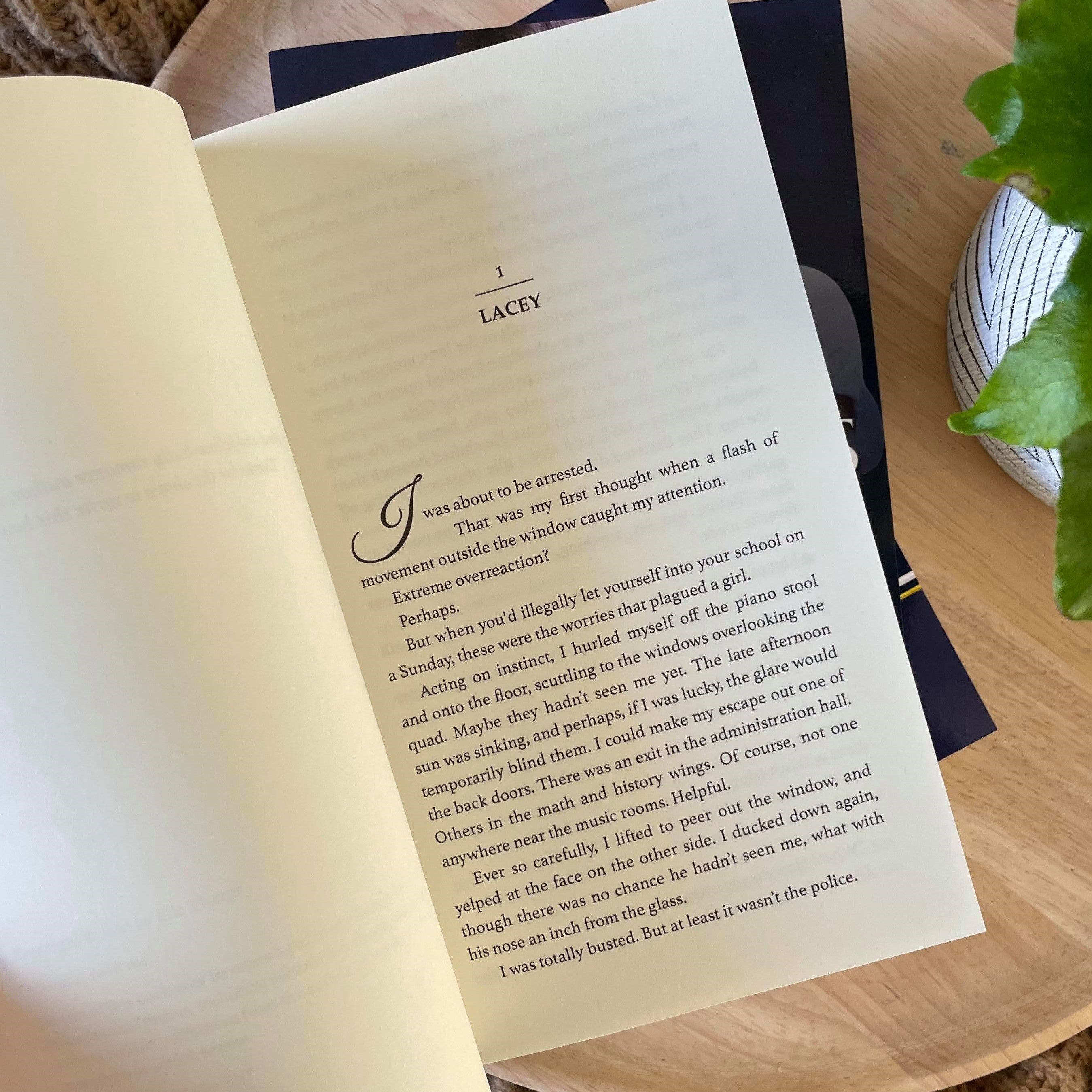 Saint View High series by Elle Thorpe