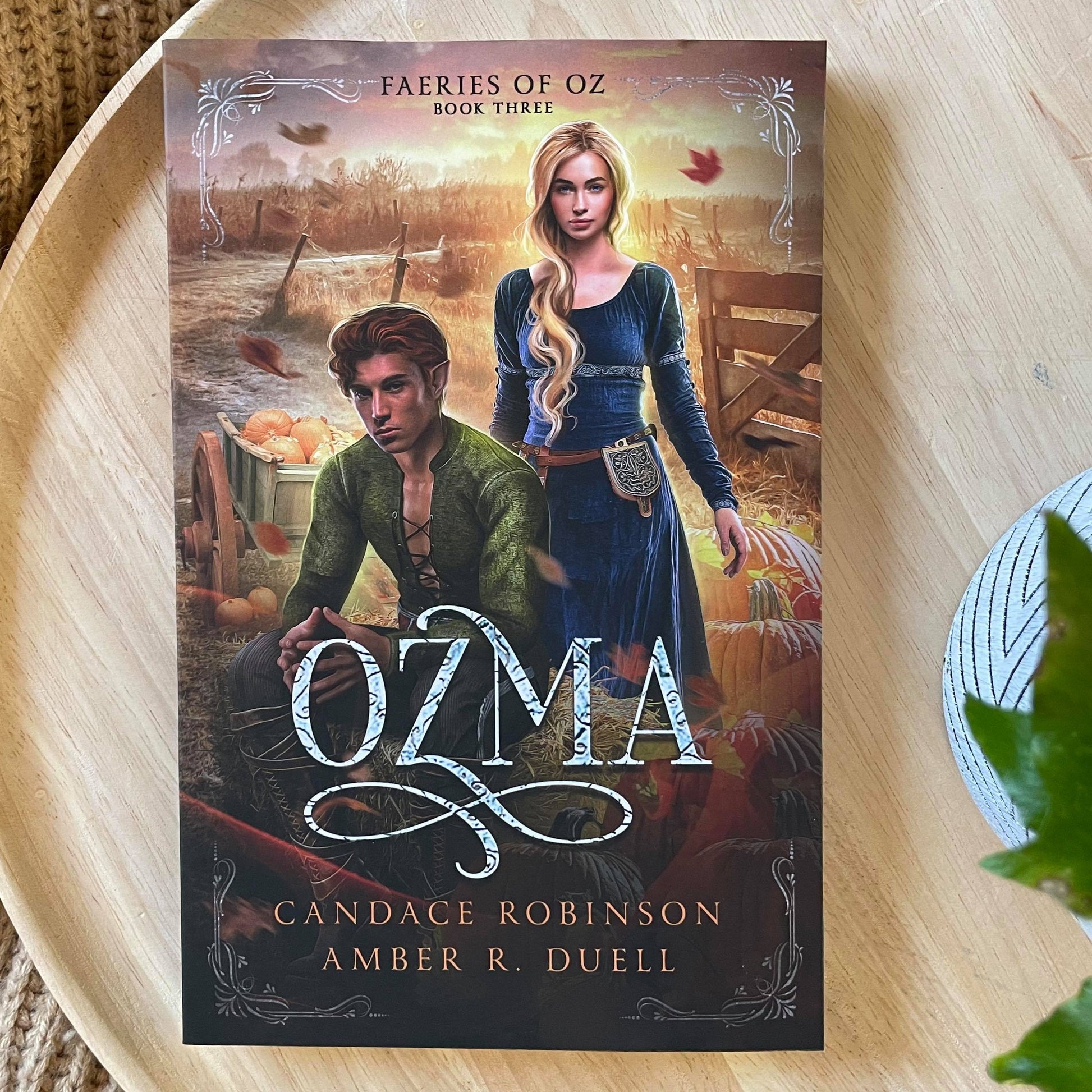 Faeries of Oz series by Candace Robinson & Amber R Duell