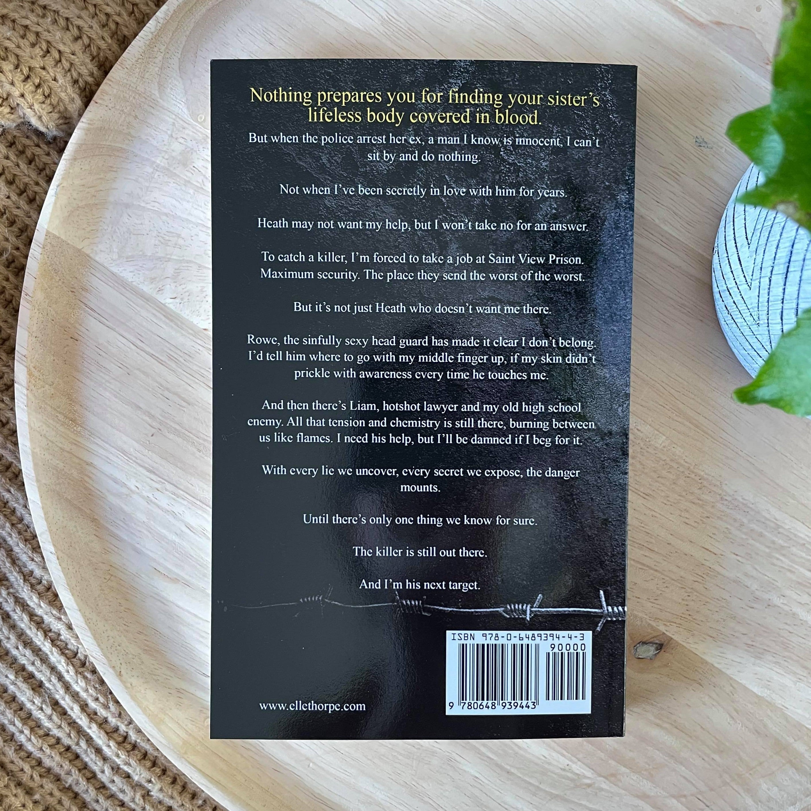 Saint View Prison Trilogy by Elle Thorpe