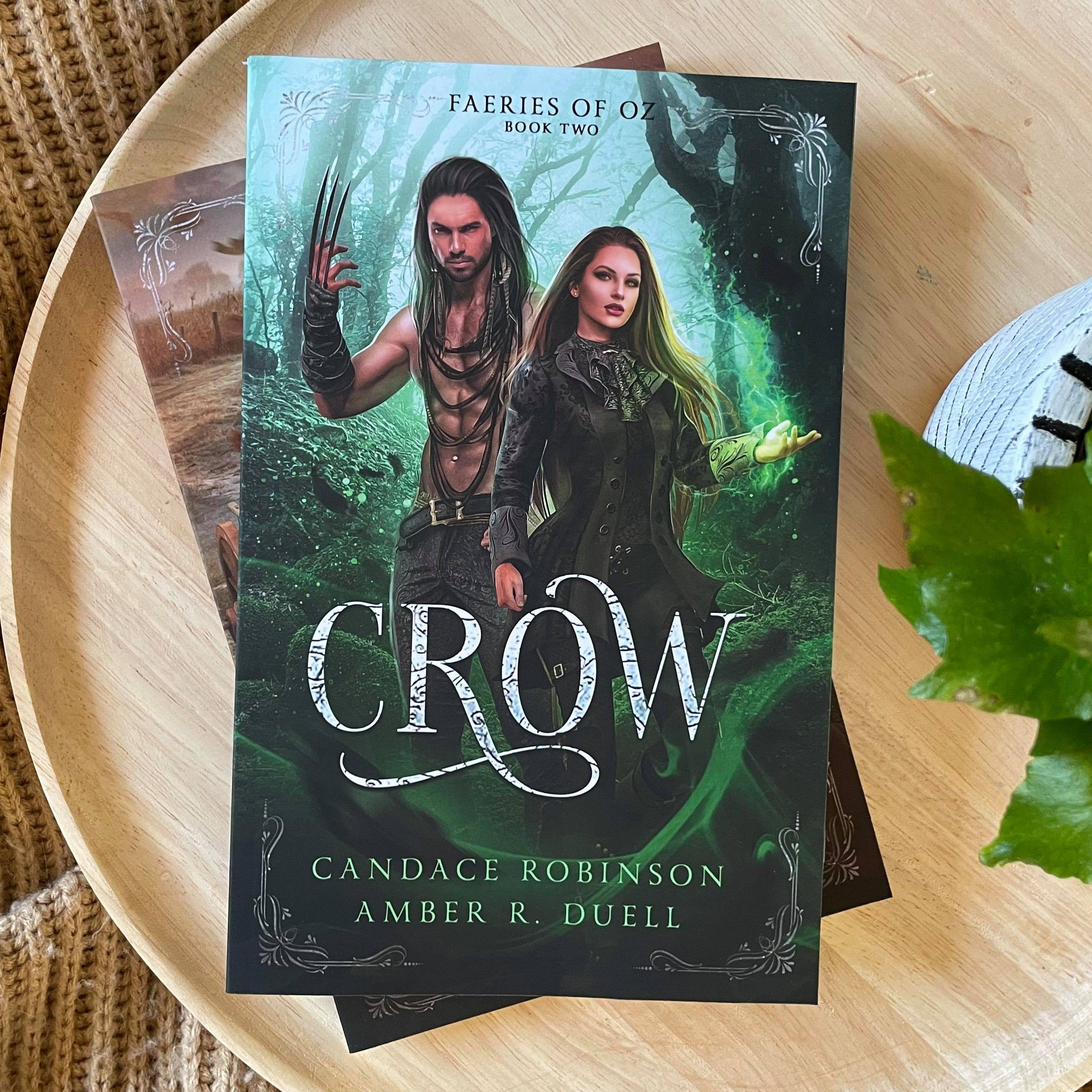 Faeries of Oz series by Candace Robinson & Amber R Duell