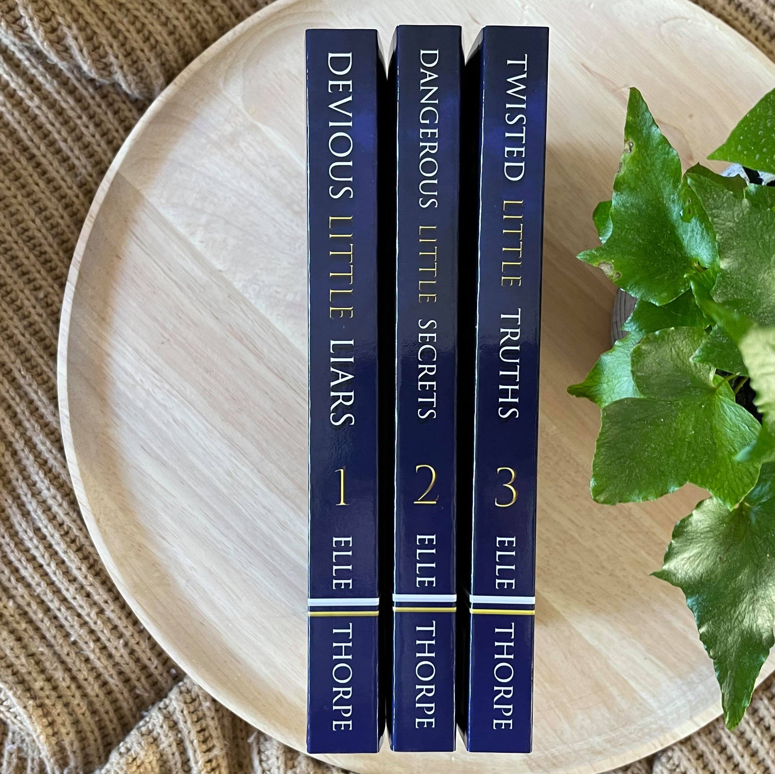 Saint View High series by Elle Thorpe