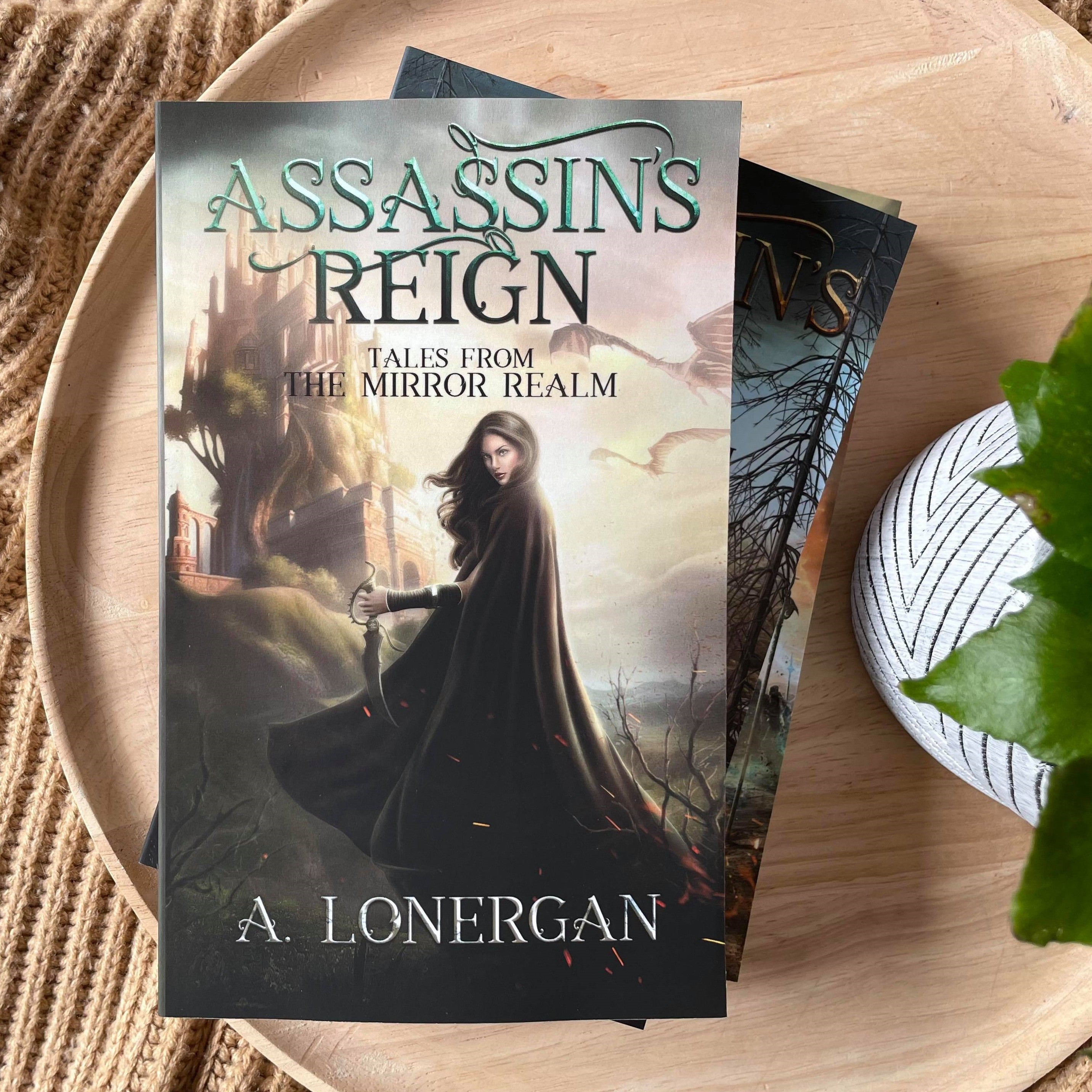 Tales from the Mirror Realm series by A. Lonergan