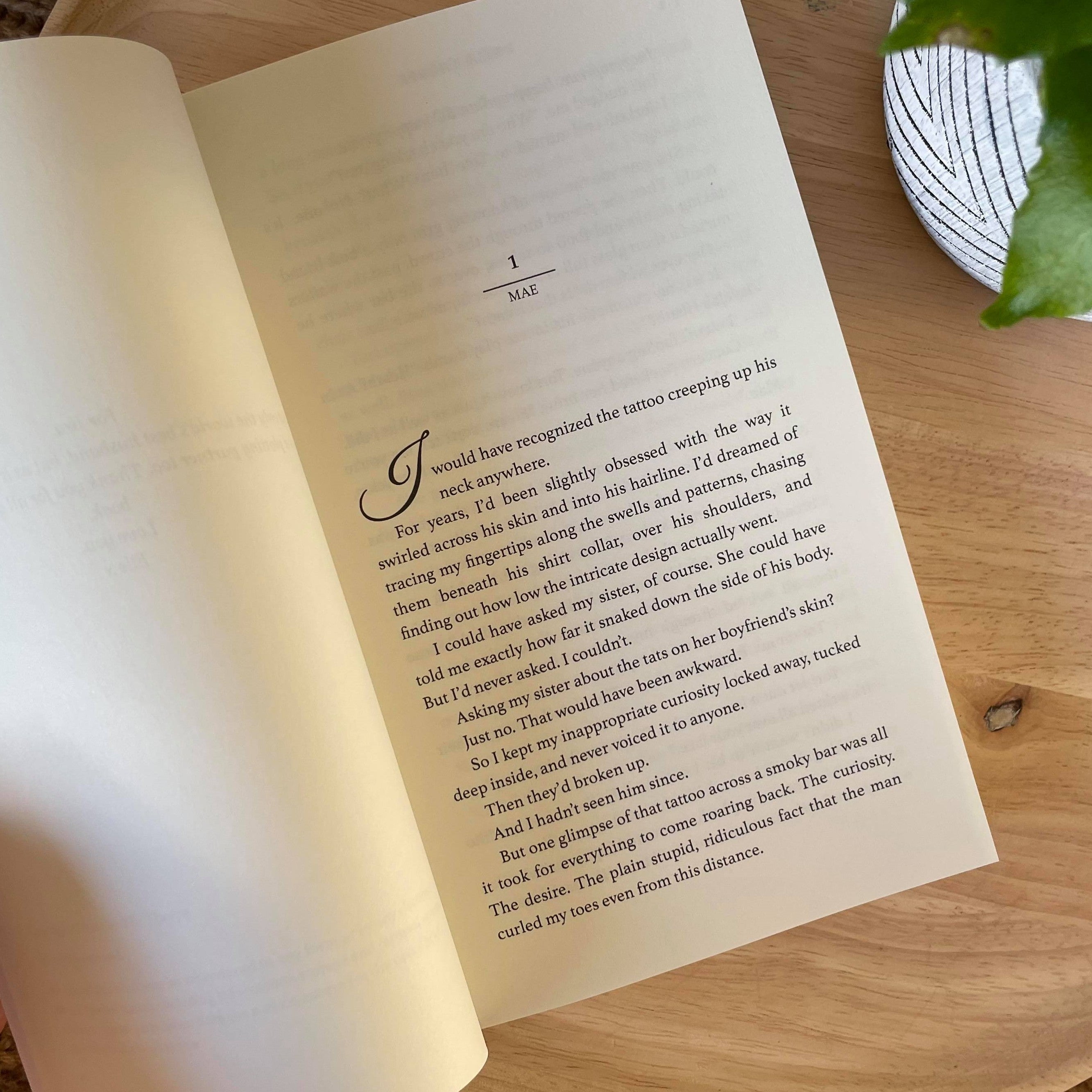 Saint View Prison Trilogy by Elle Thorpe