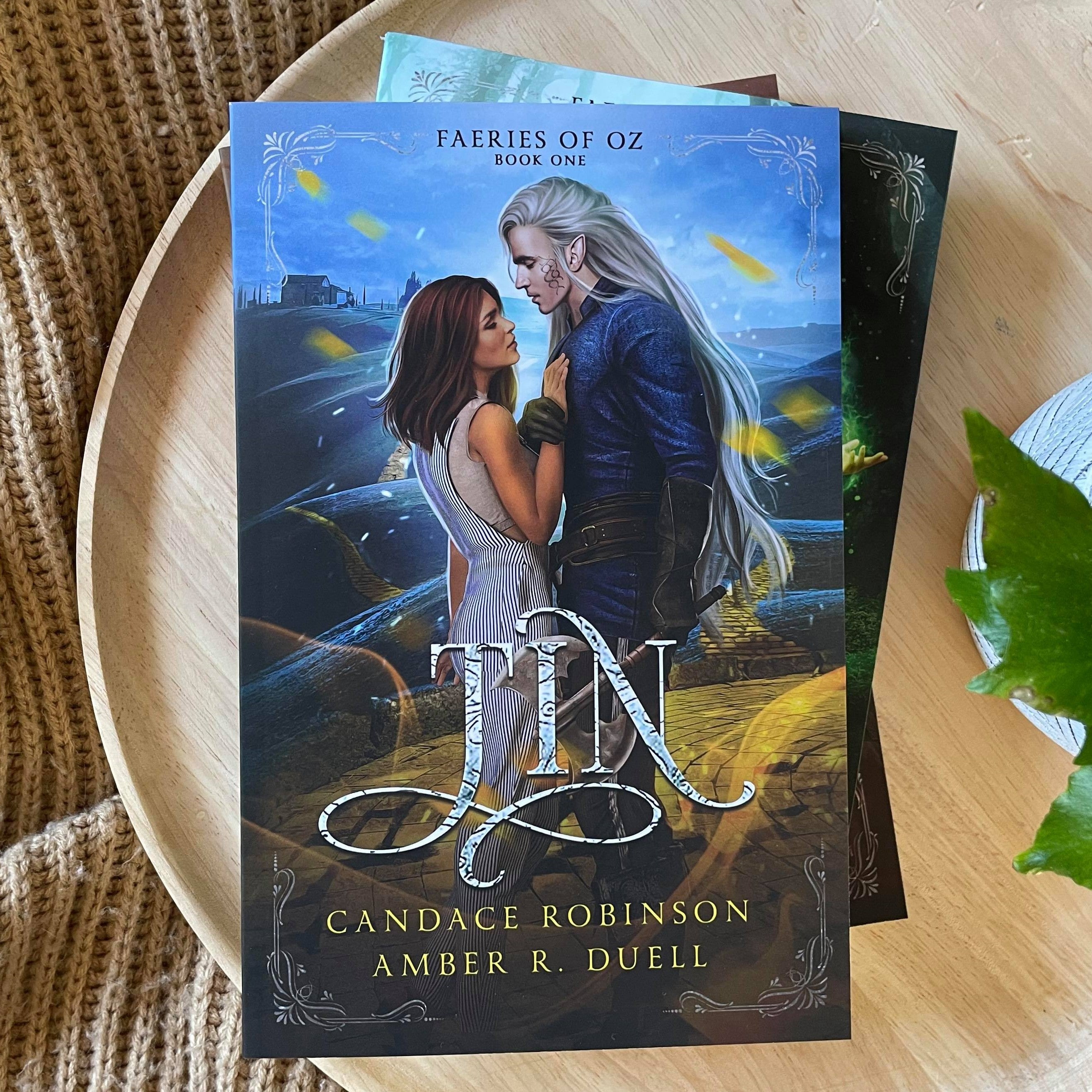 Faeries of Oz series by Candace Robinson & Amber R Duell