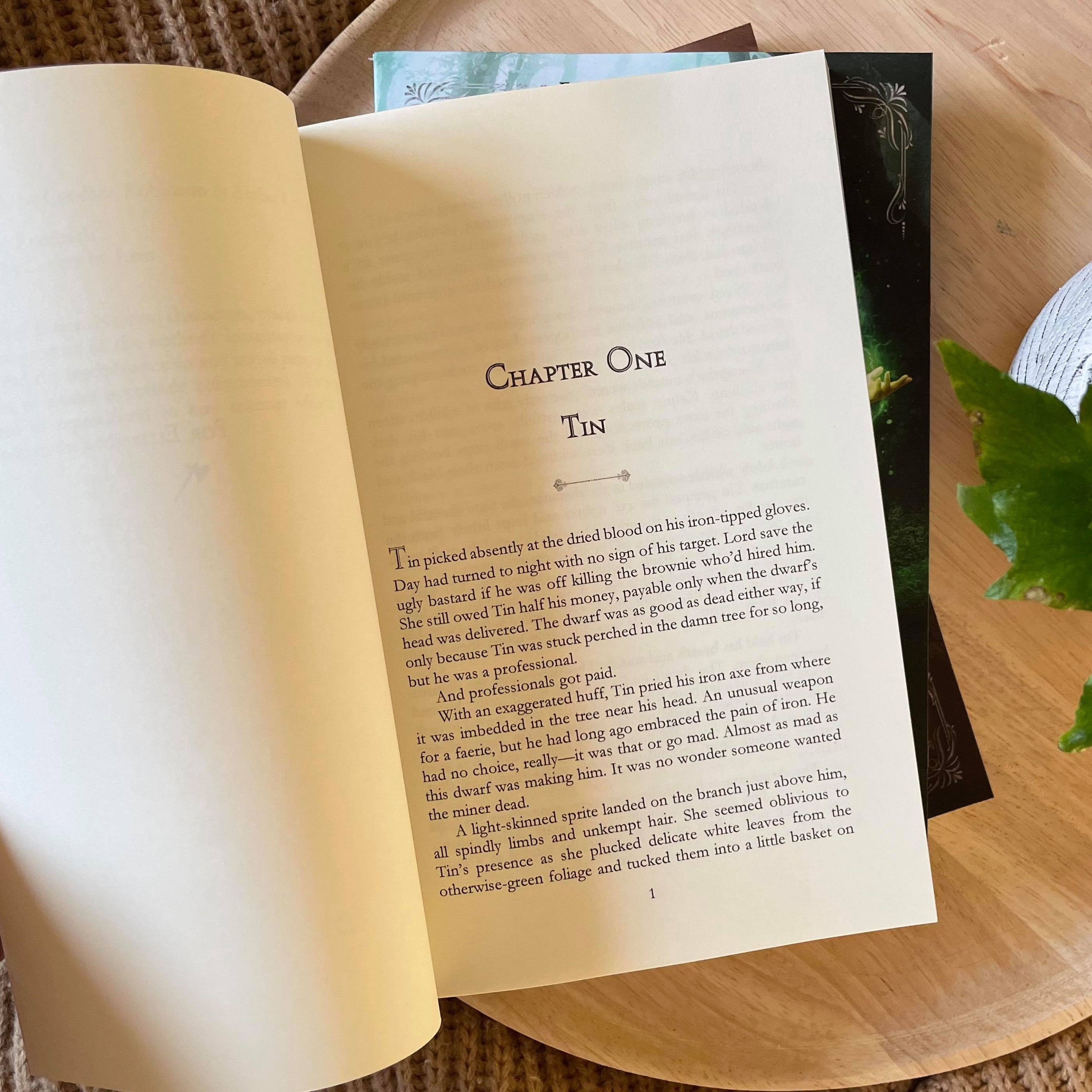 Faeries of Oz series by Candace Robinson & Amber R Duell