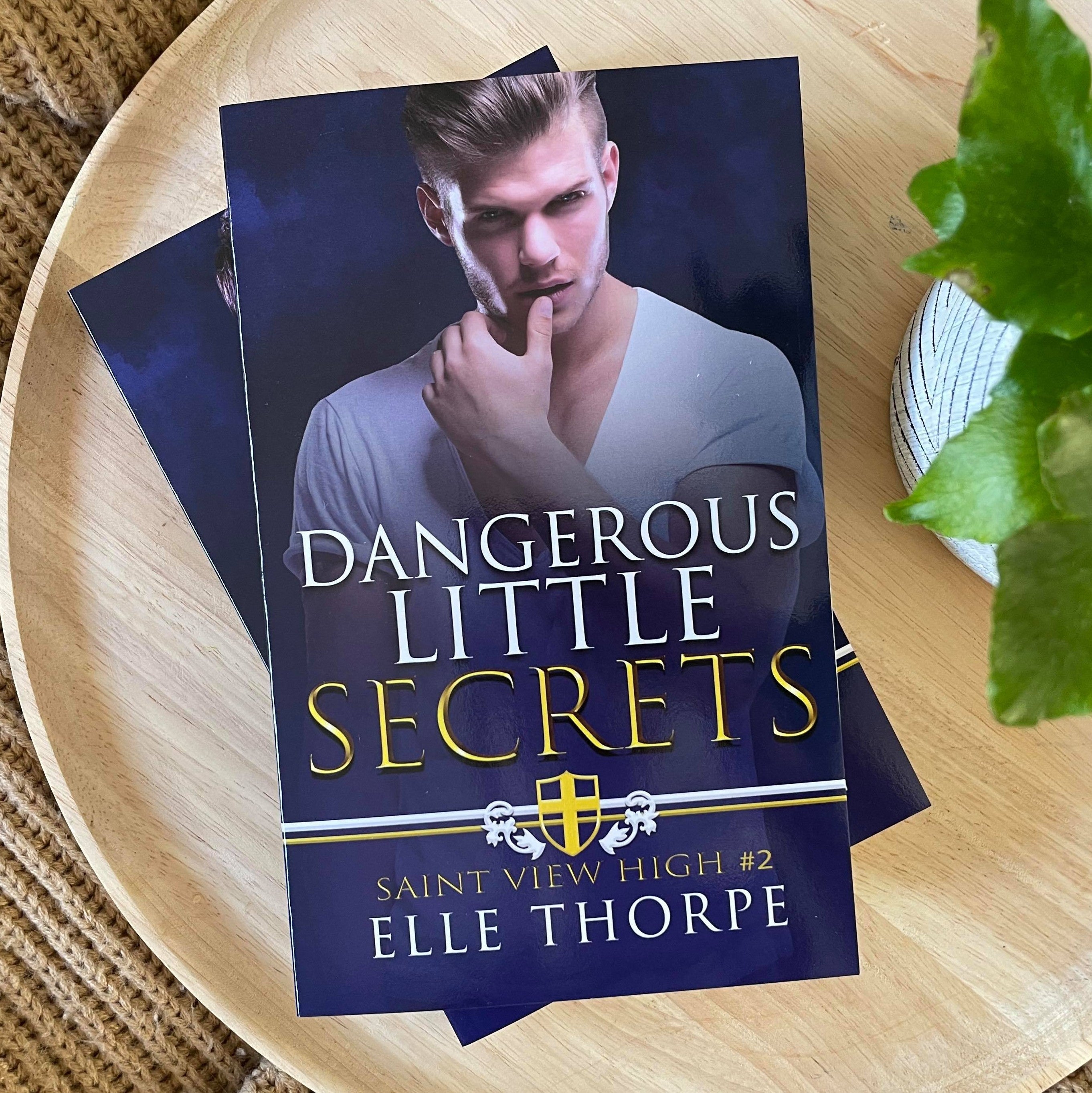 Saint View High series by Elle Thorpe