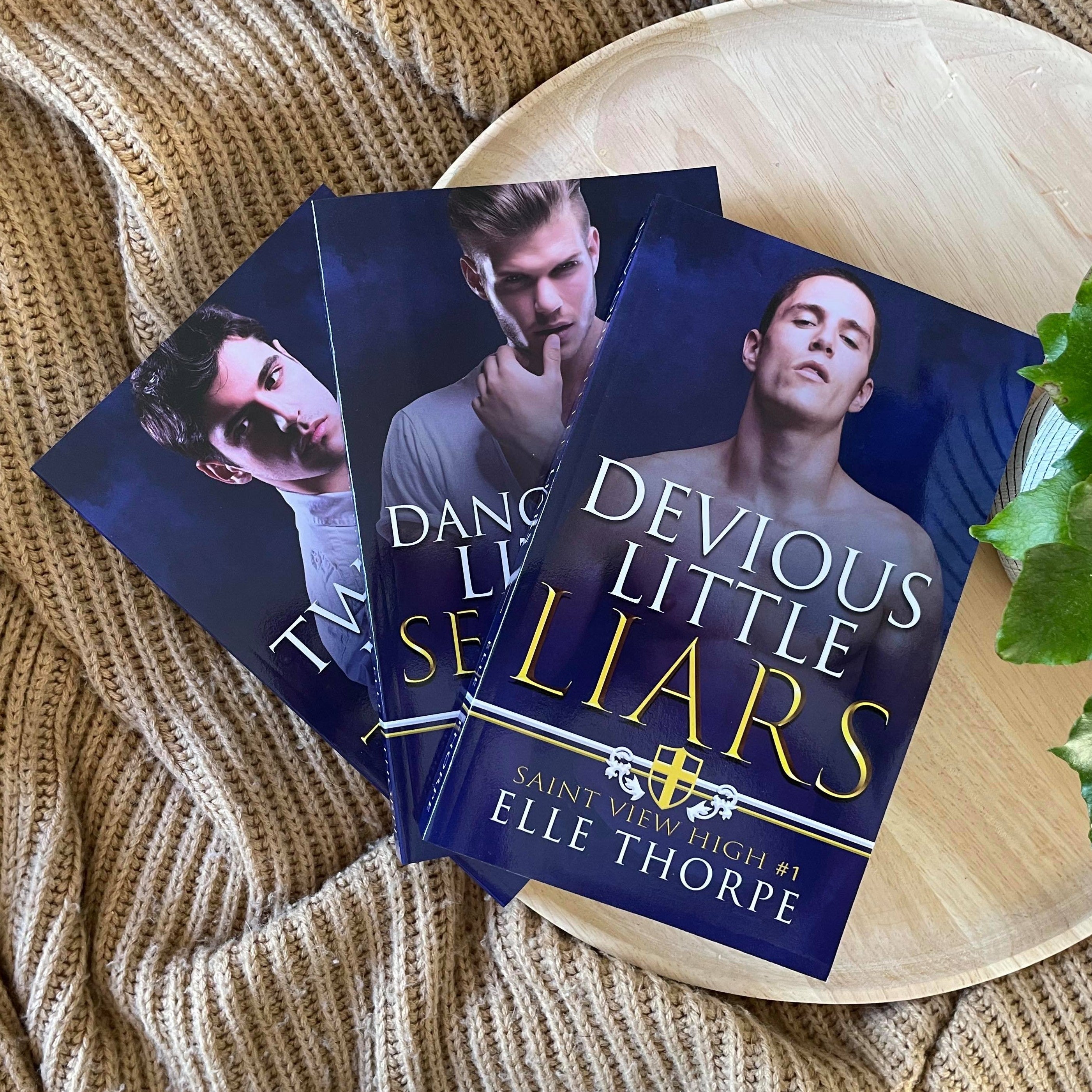 Saint View High series by Elle Thorpe