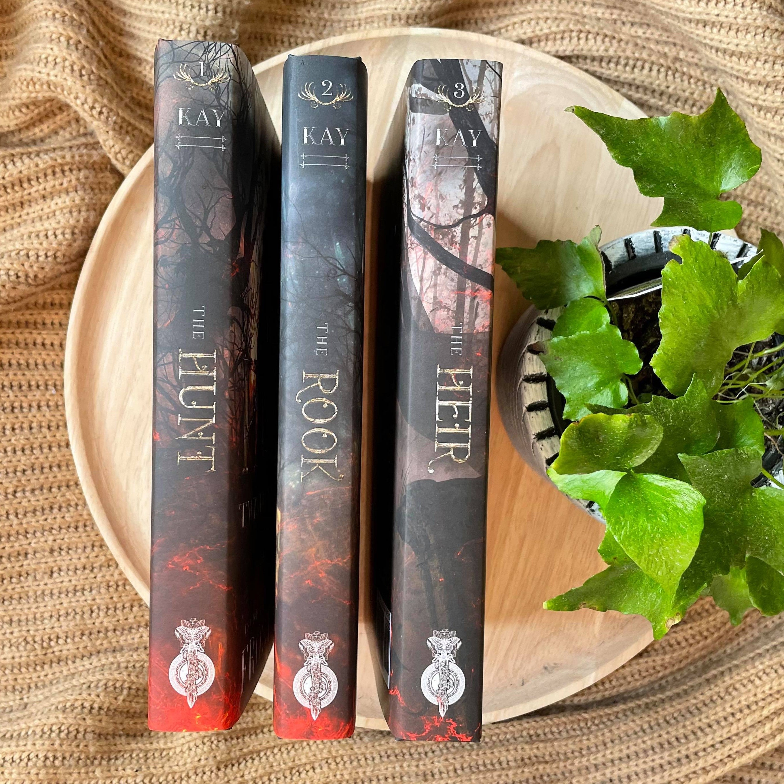 Twisted Kingdom: HARDCOVERS by Frost Kay