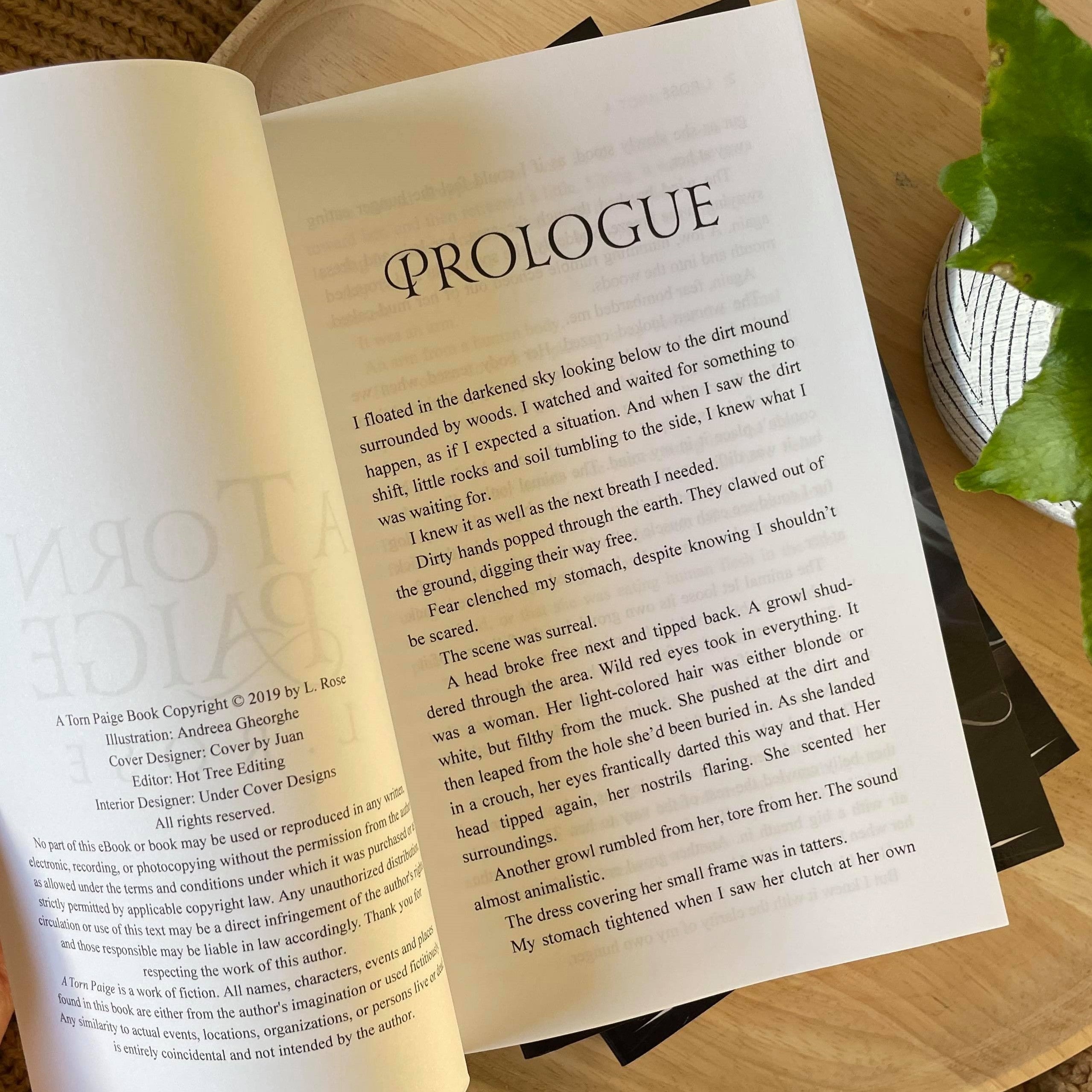 Hidden Kingdom Trilogy by L Rose