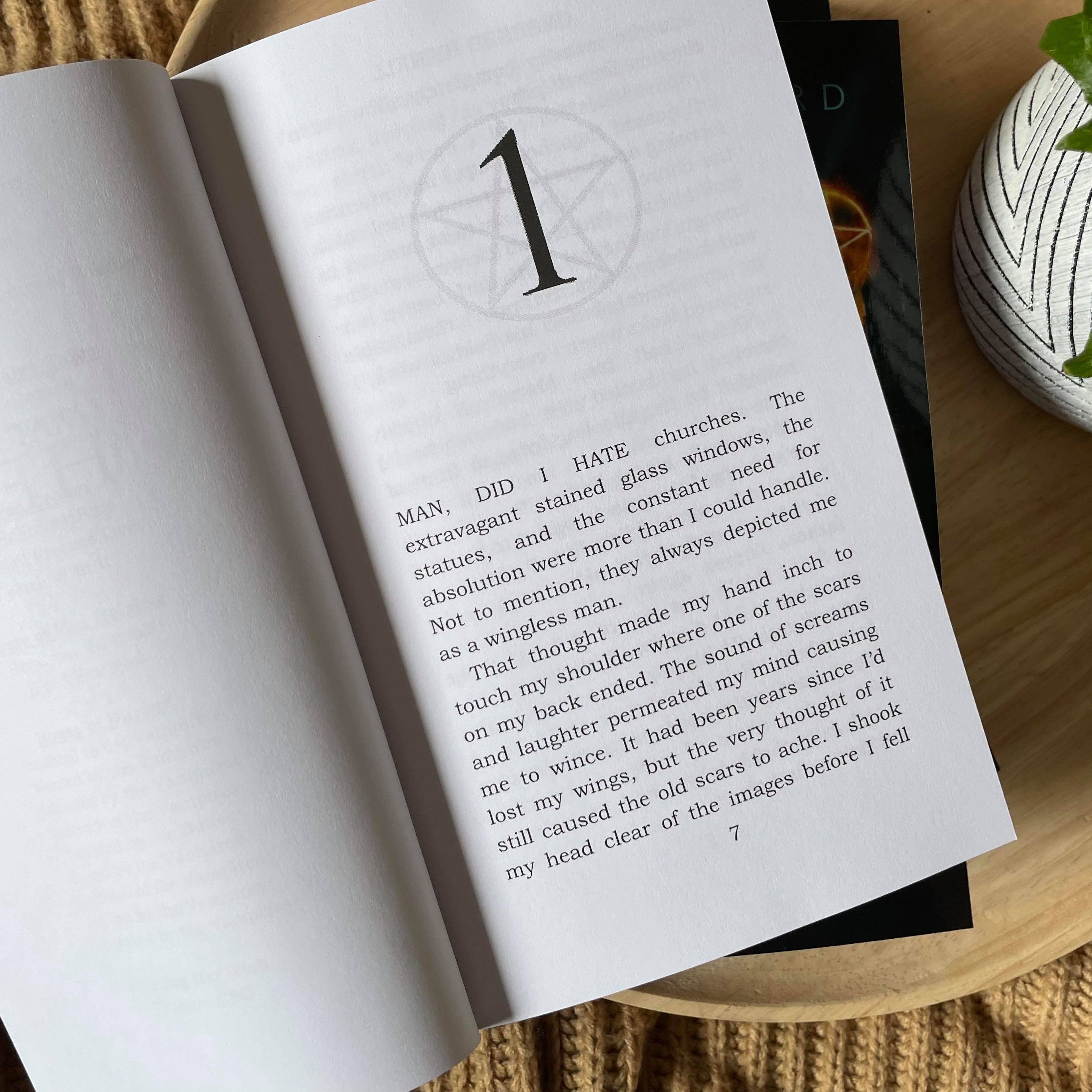 The Mary Wiles Chronicles by Erin Bedford