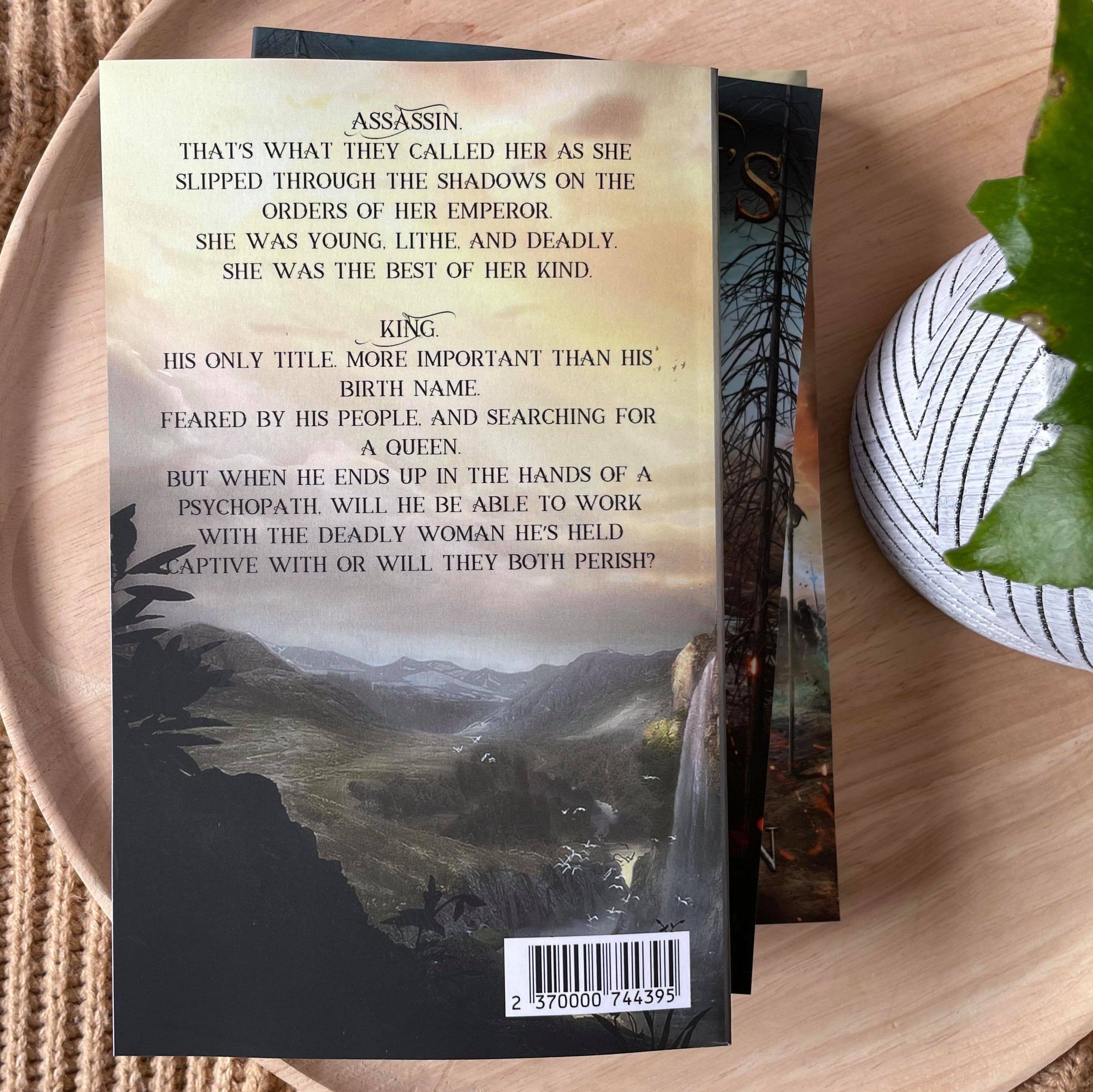 Tales from the Mirror Realm series by A. Lonergan