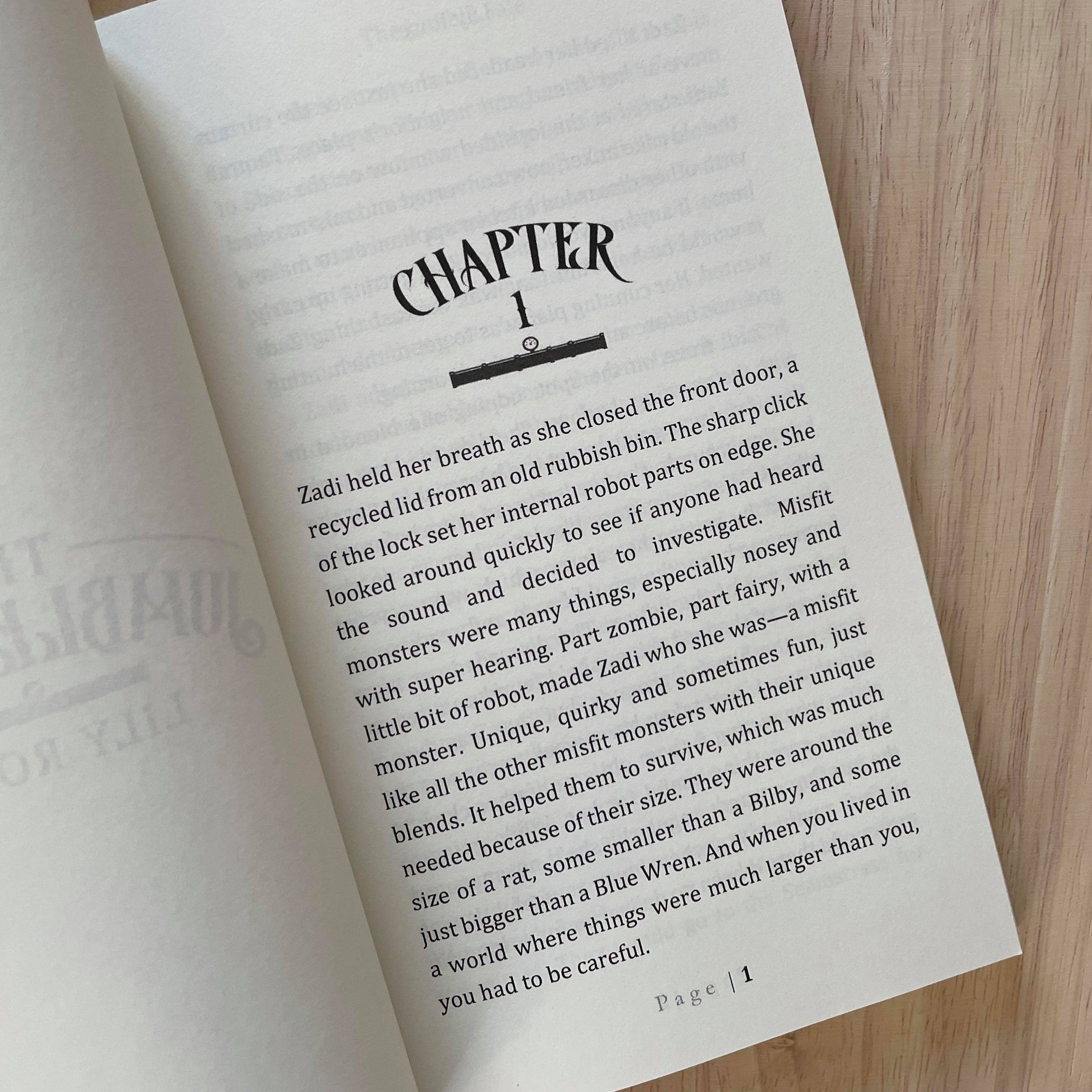 Misfit Monsters by Lily Rose