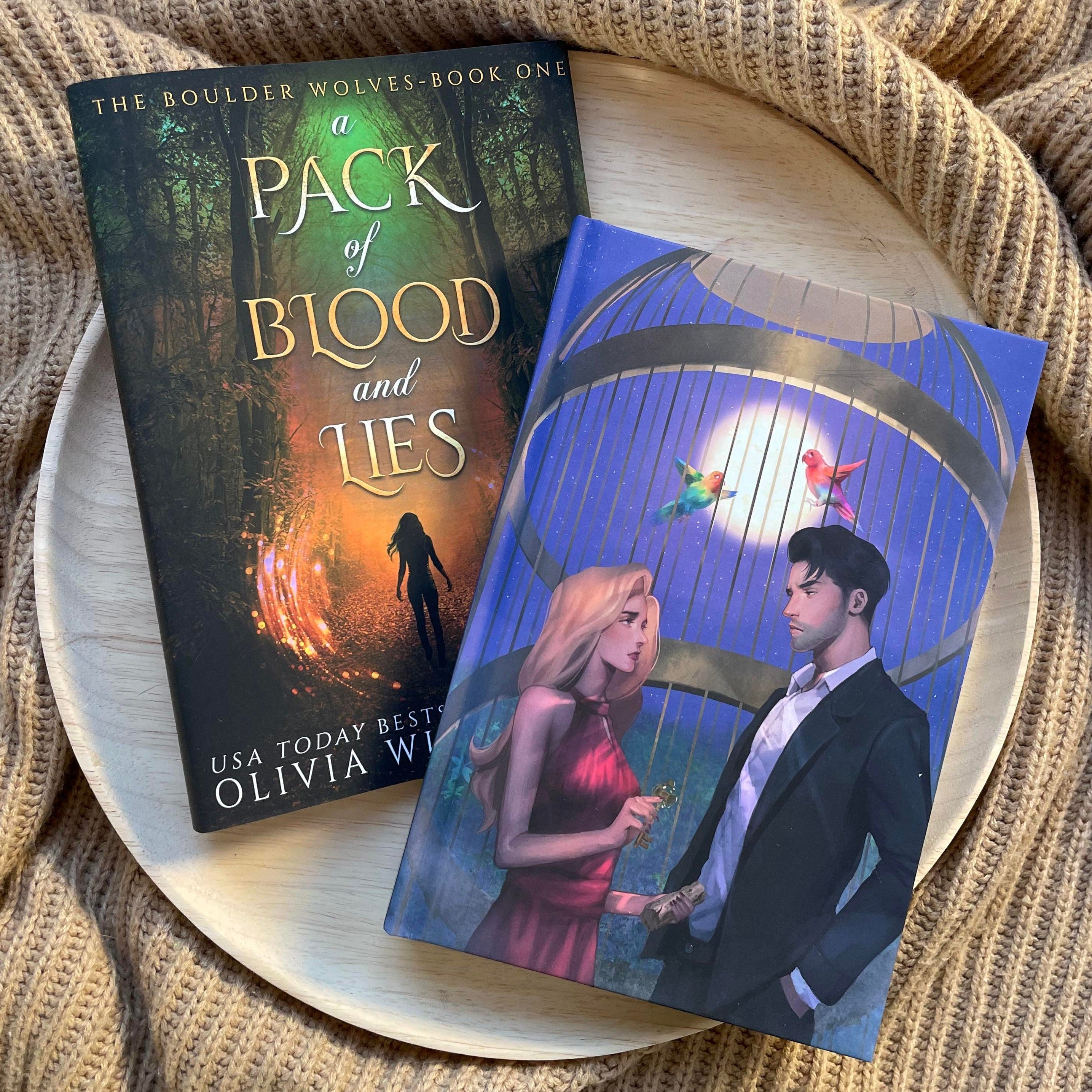 The Boulder Wolves: HARDCOVERS by Olivia Wildenstein