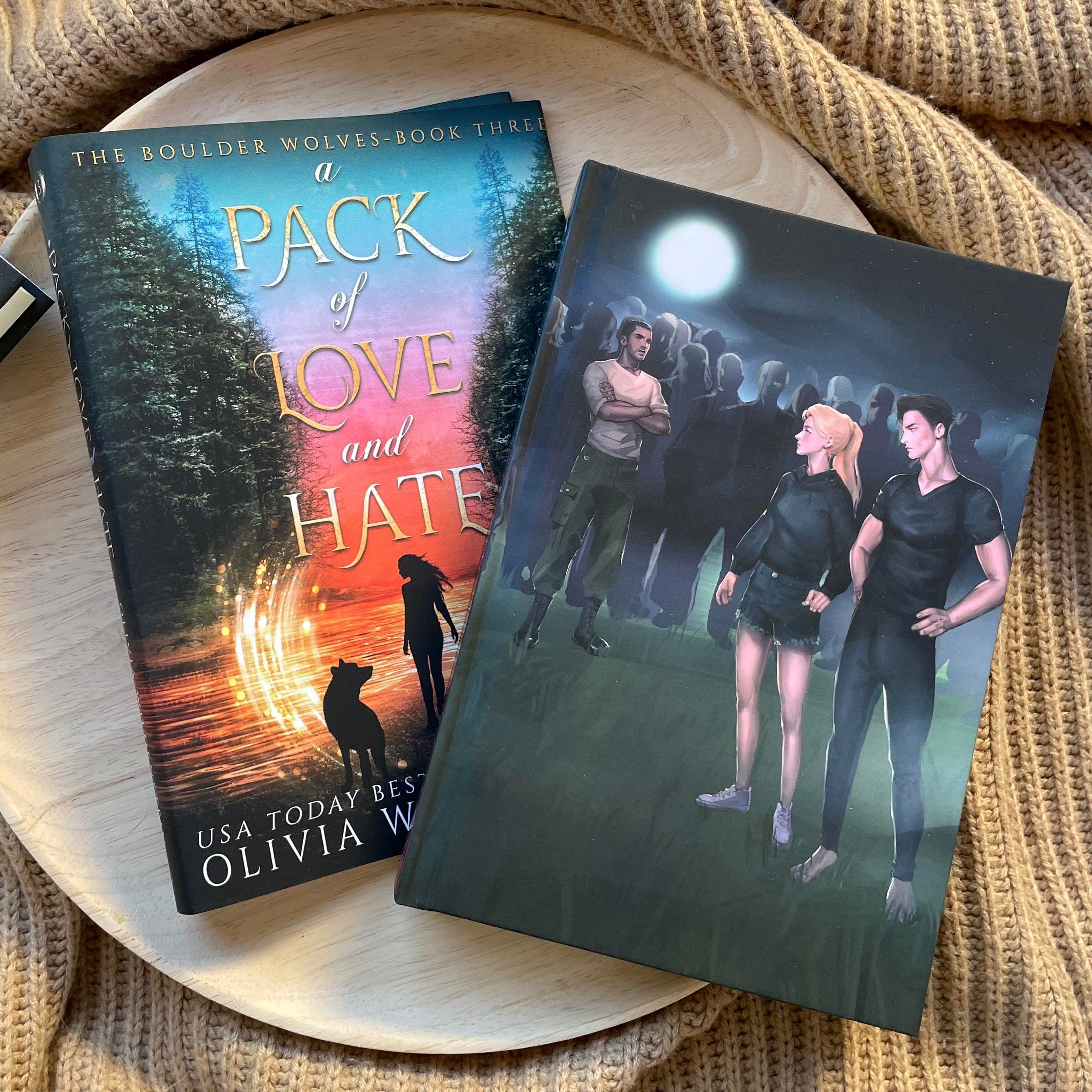 The Boulder Wolves: HARDCOVERS by Olivia Wildenstein