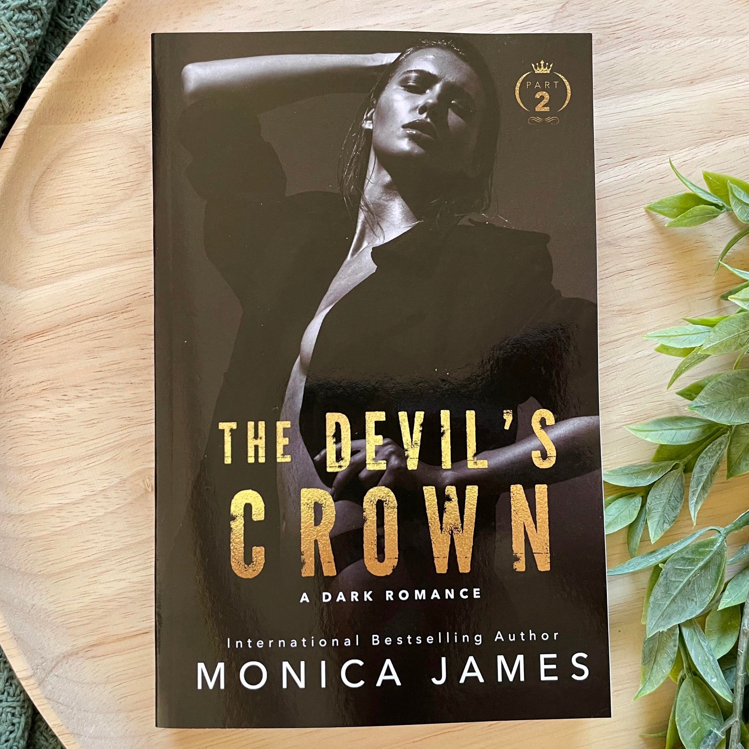 All The Pretty Things Trilogy Spin-Off by Monica James