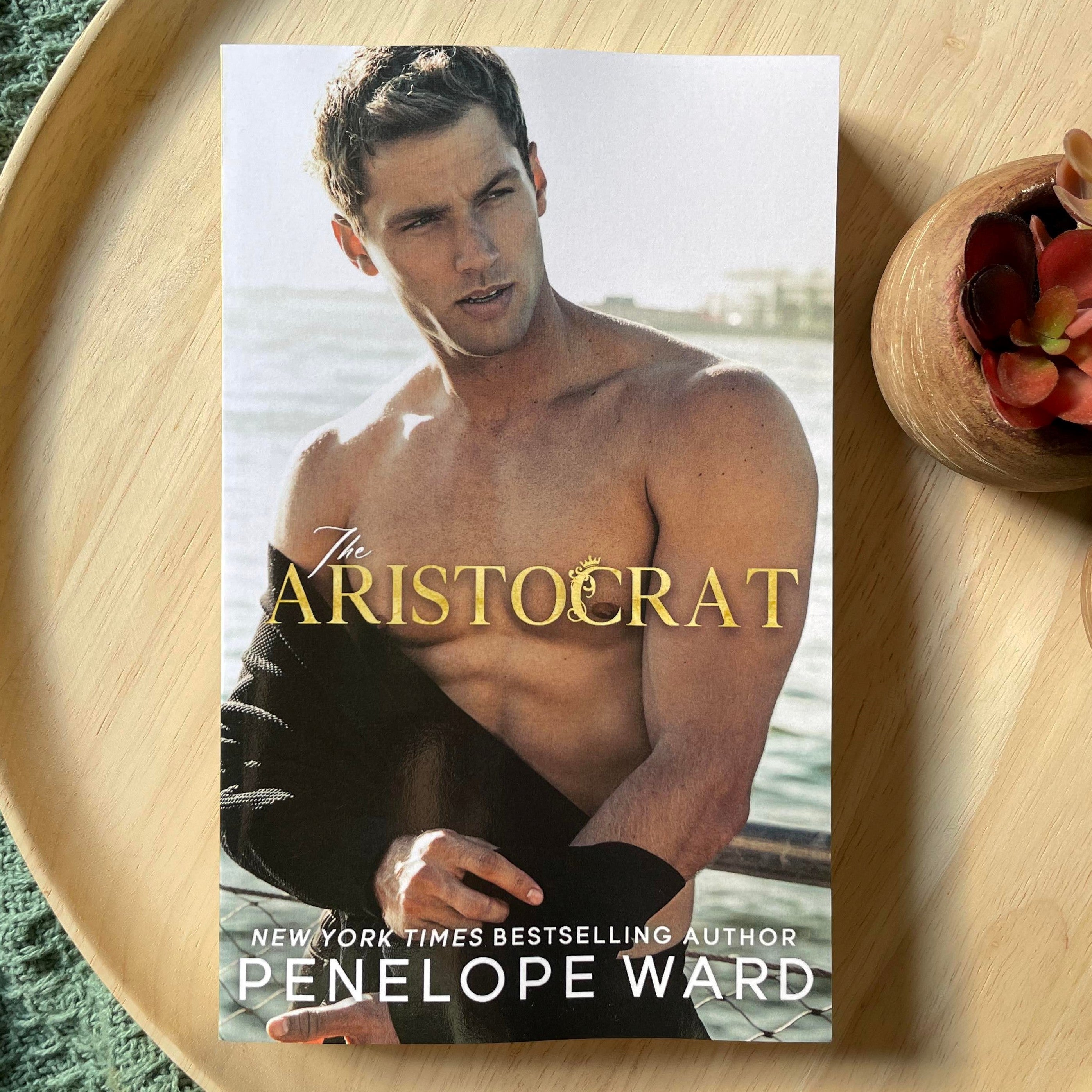 Scratch & Dent | The Aristocrat by Penelope Ward